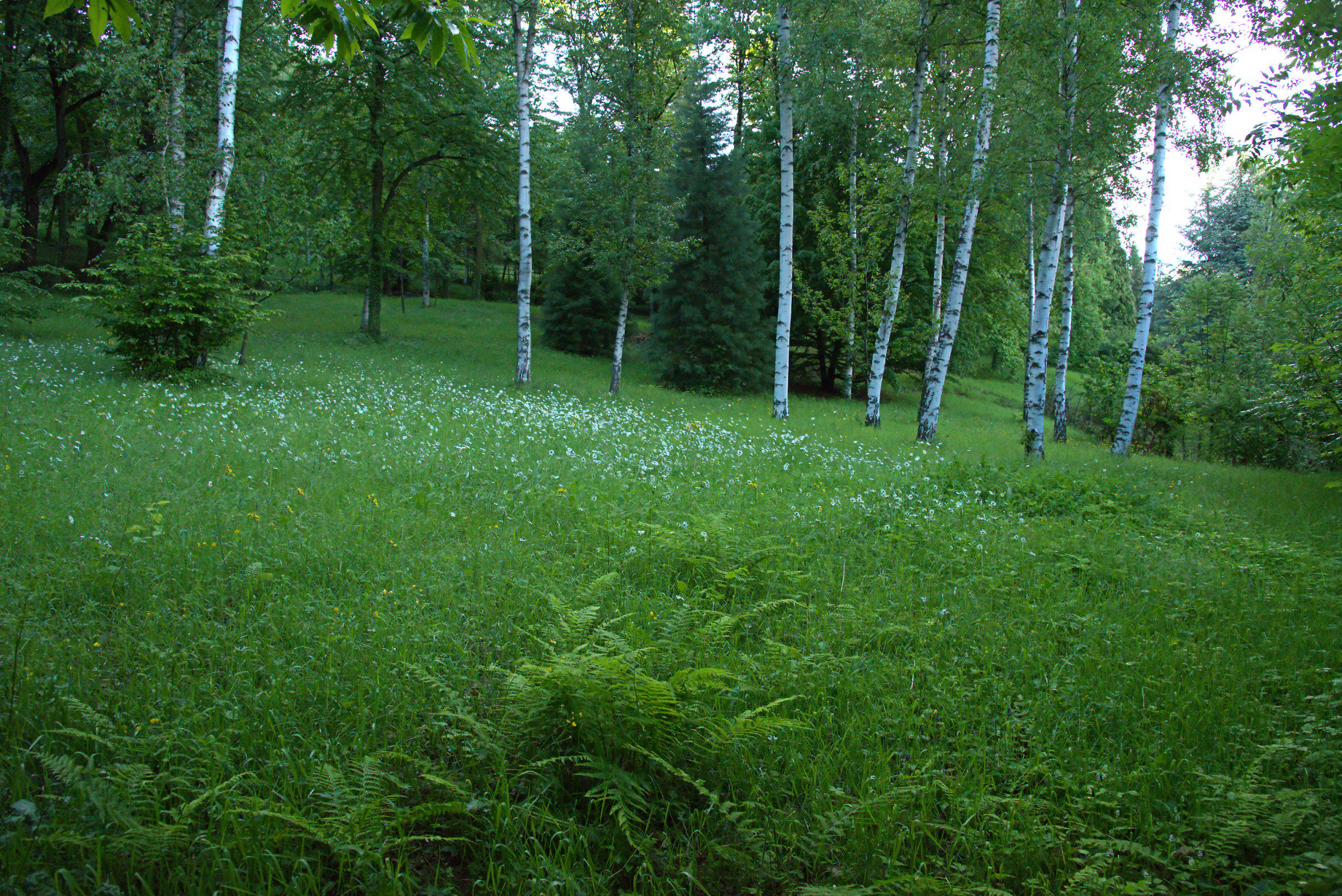 Grove...