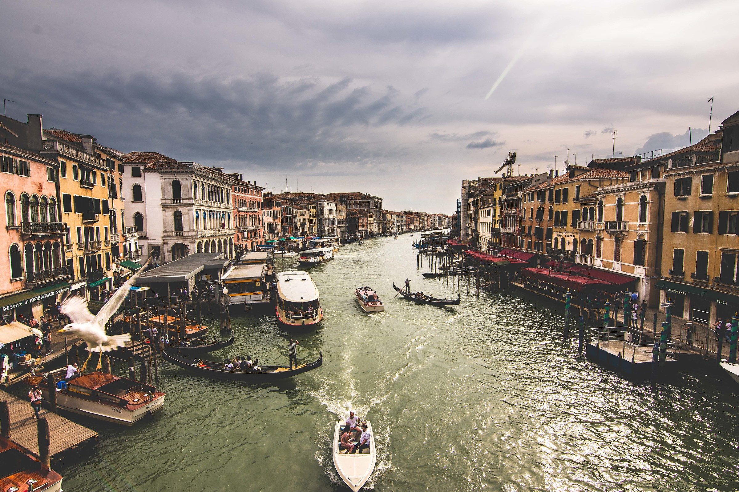Hectic Venice...
