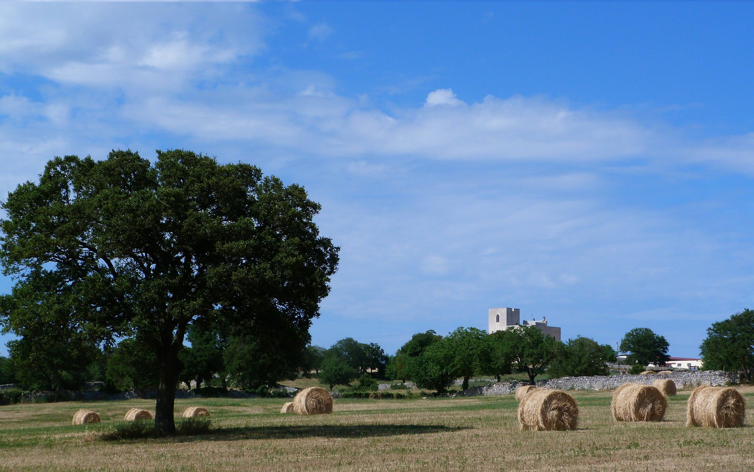 All bales........