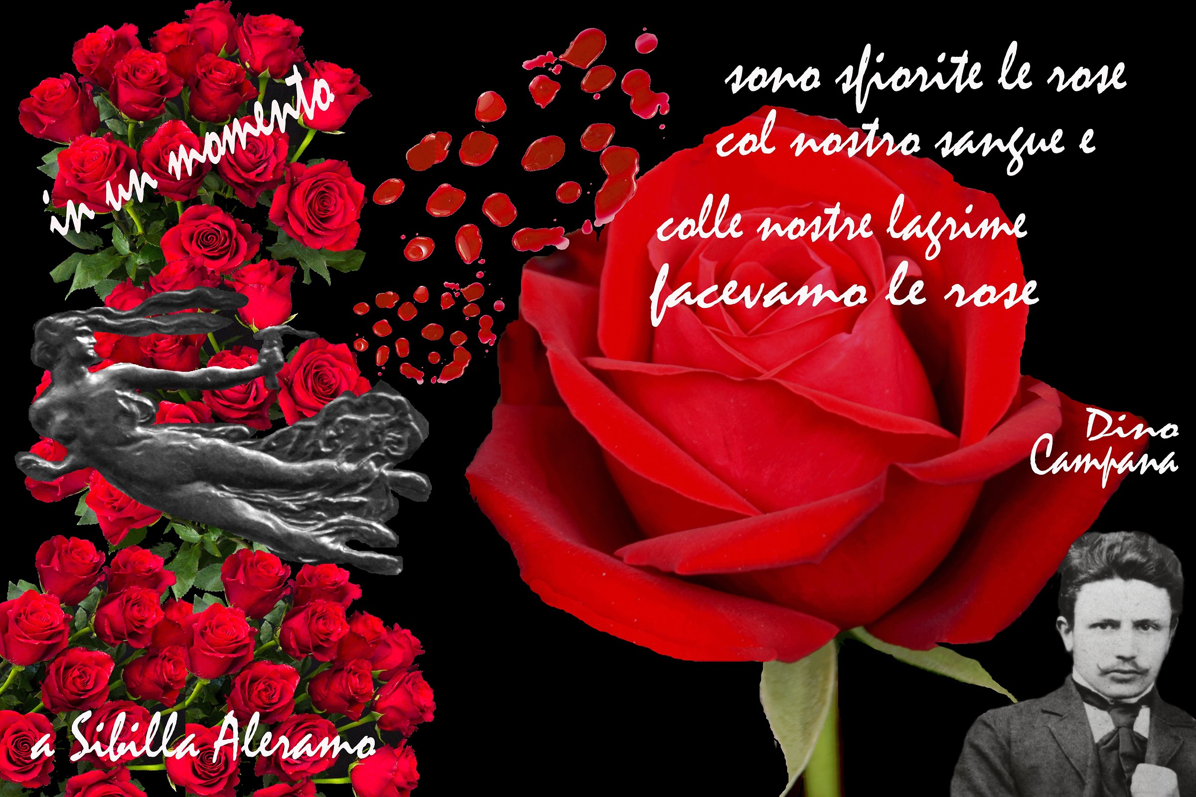 Photo Installation-Dino Campana-are withered the Roses...