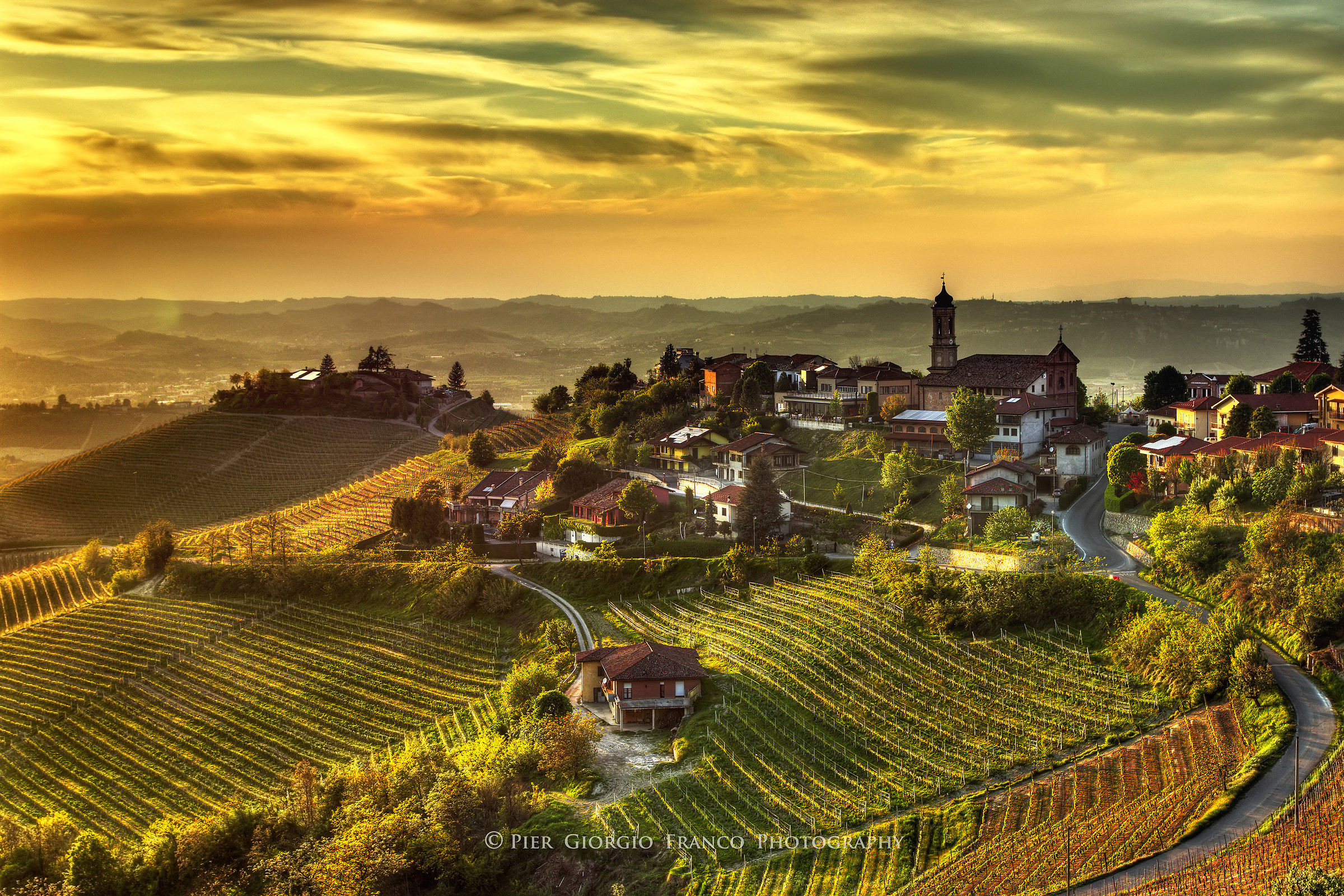 Langhe-Treiso and its vineyards at sunset...