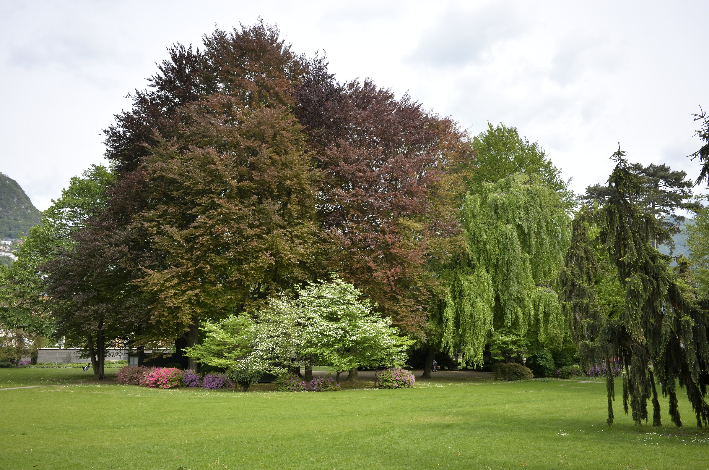 The park...