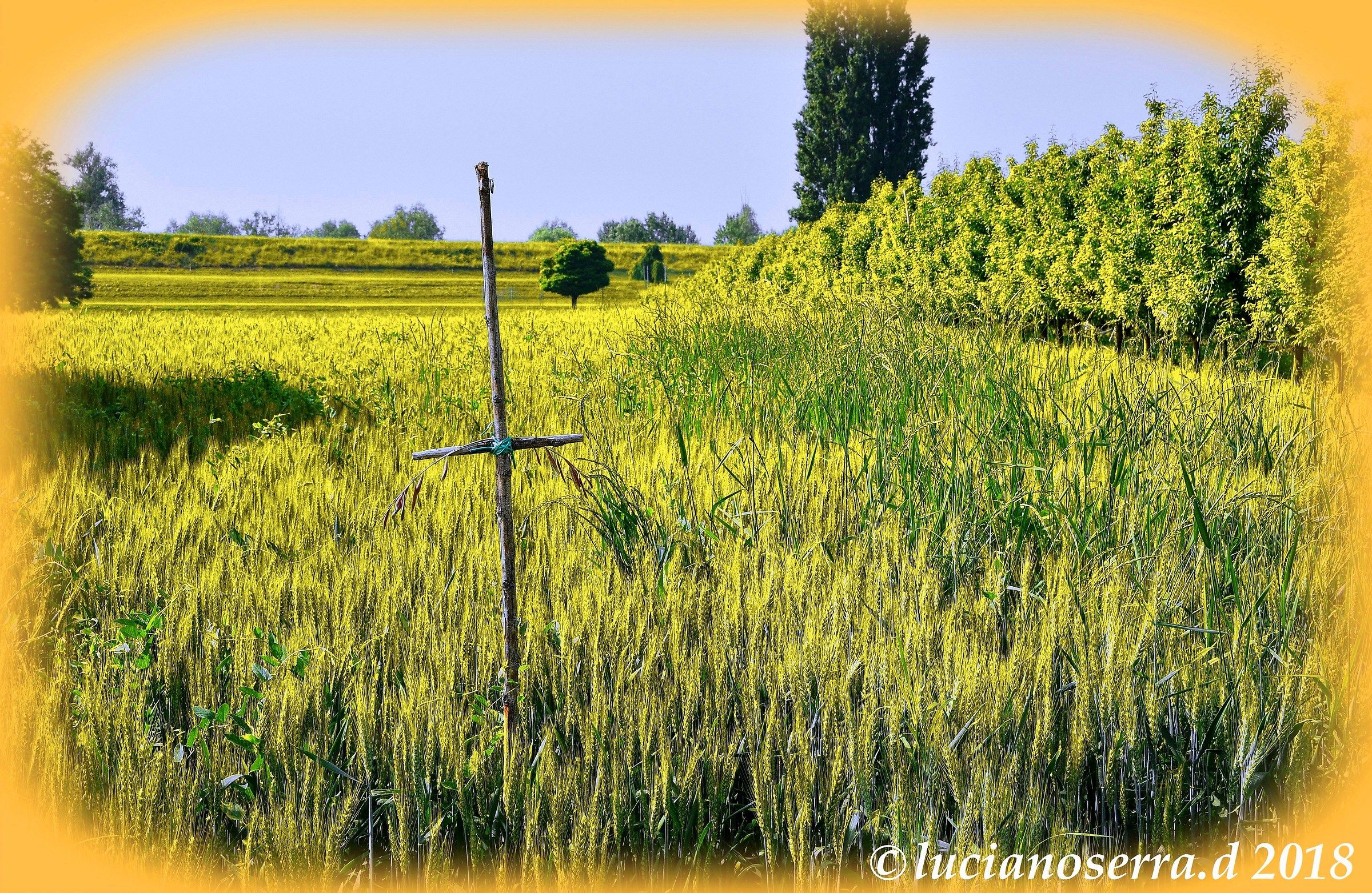 A protezione del raccolto......