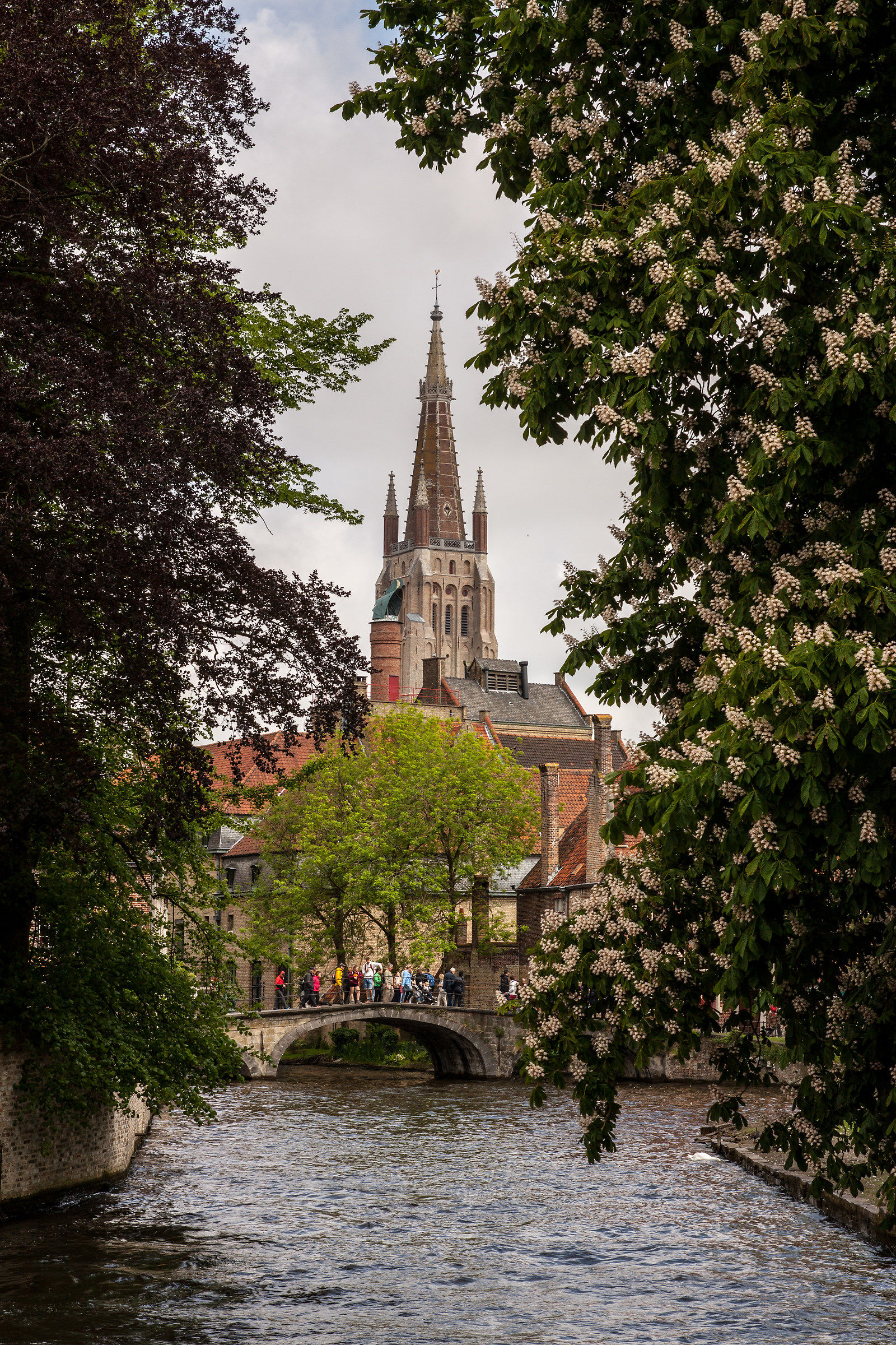 Bruges in cornice...