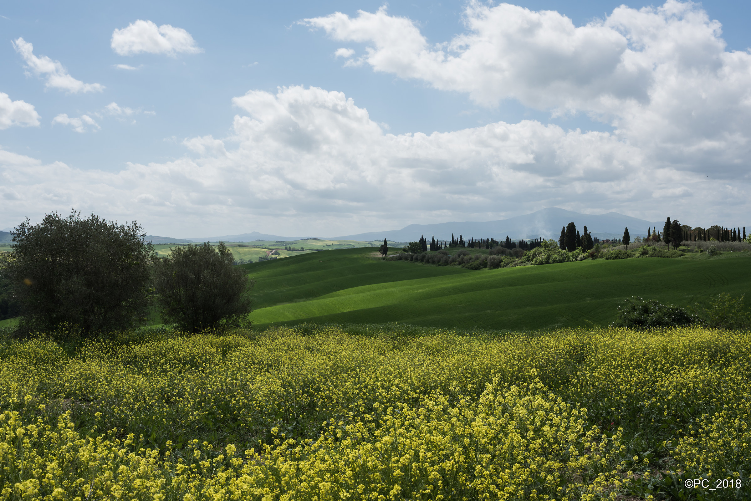 Val D'orcia 017...