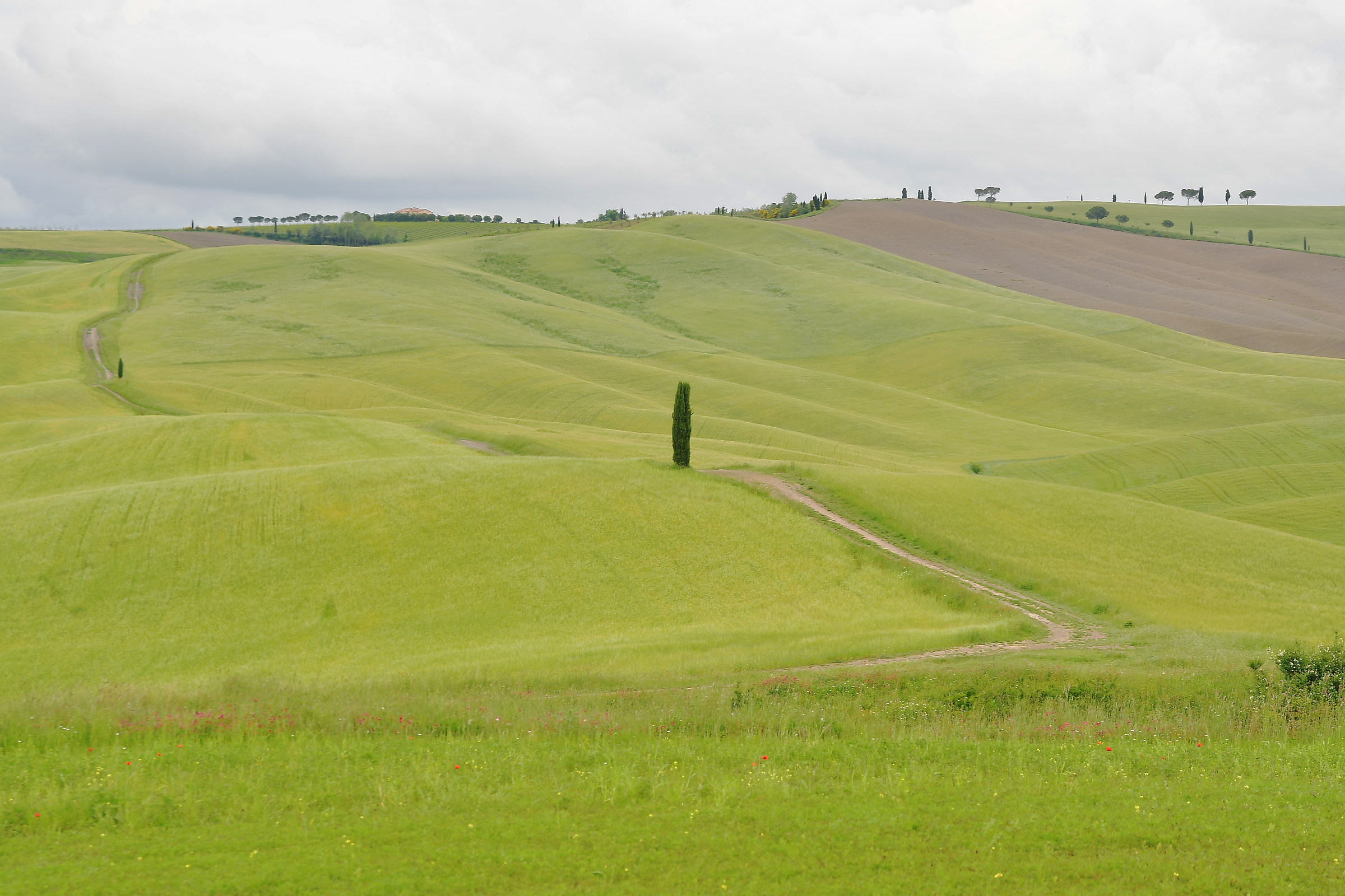 val d'orcia...