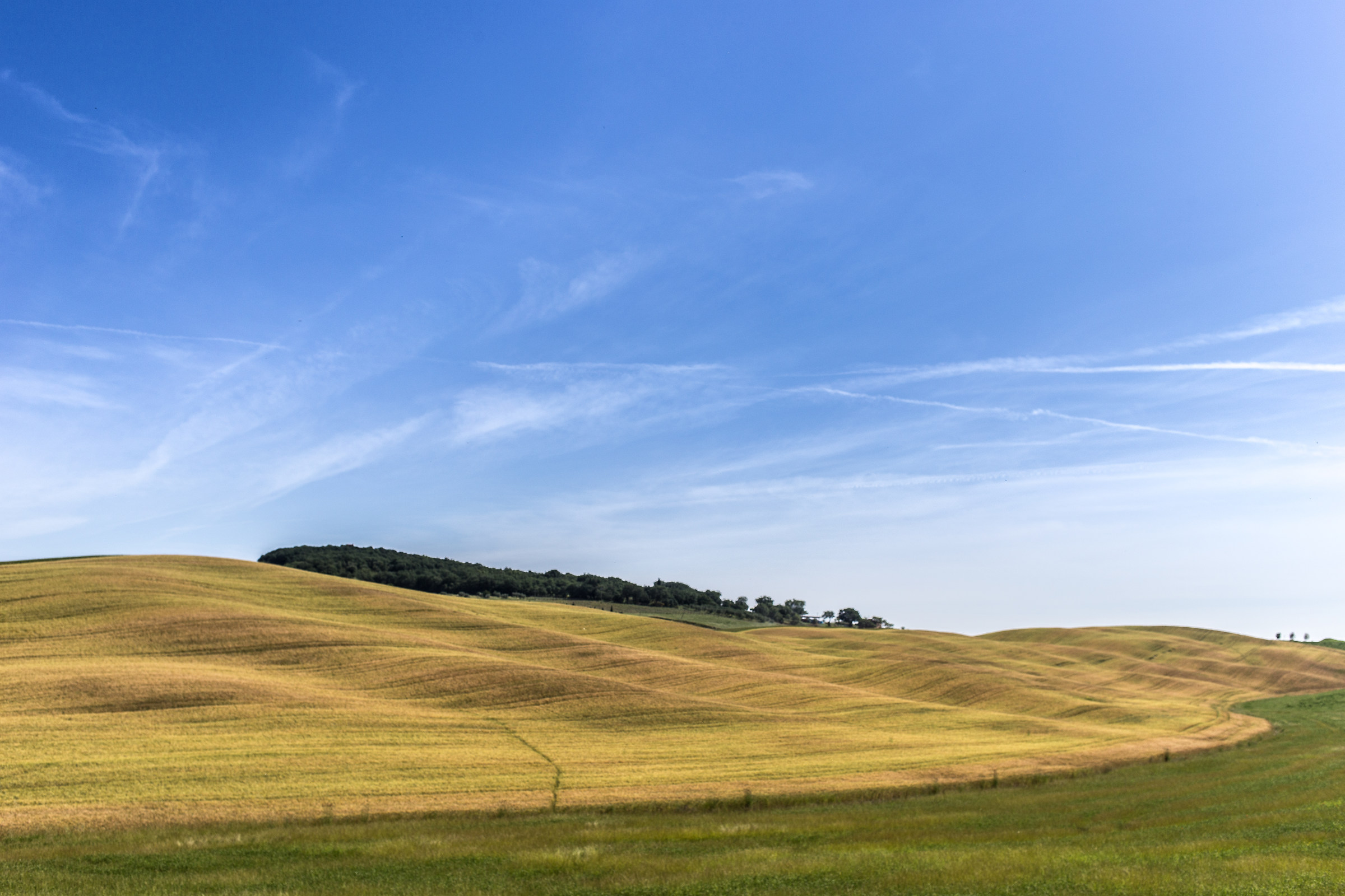 Val d'orcia in June...