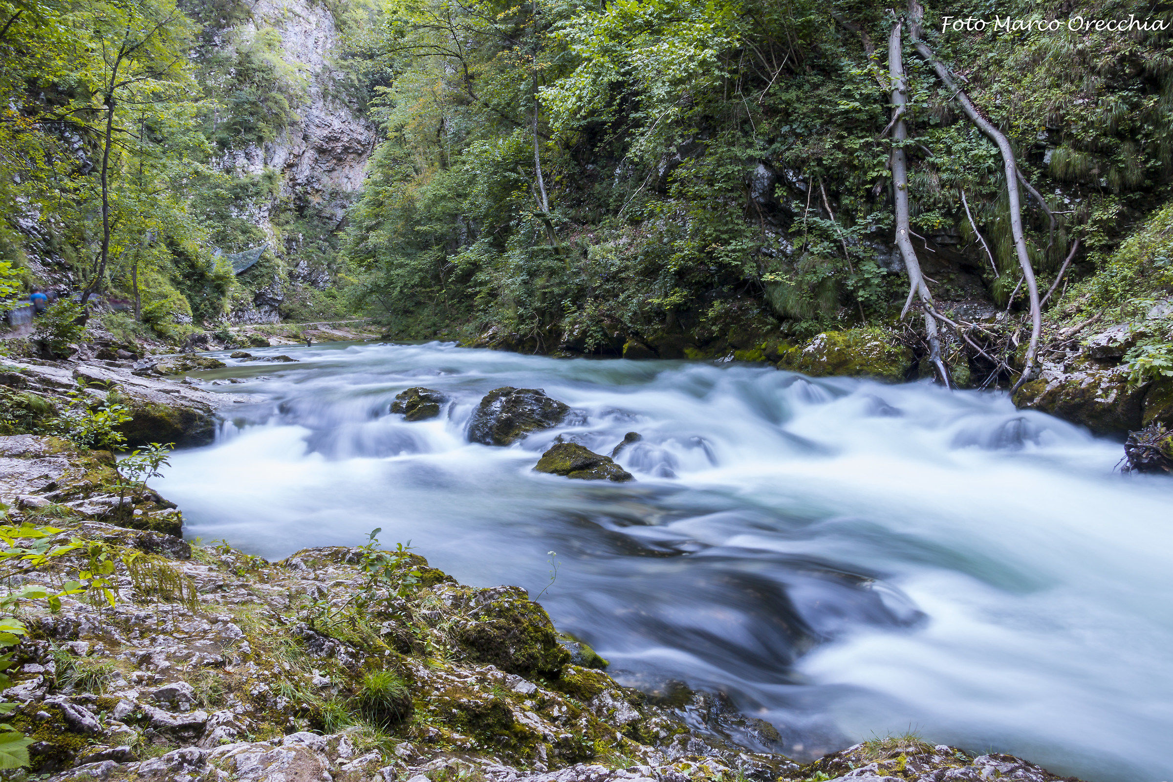 The gorge of Vintgar (Slovenia)...