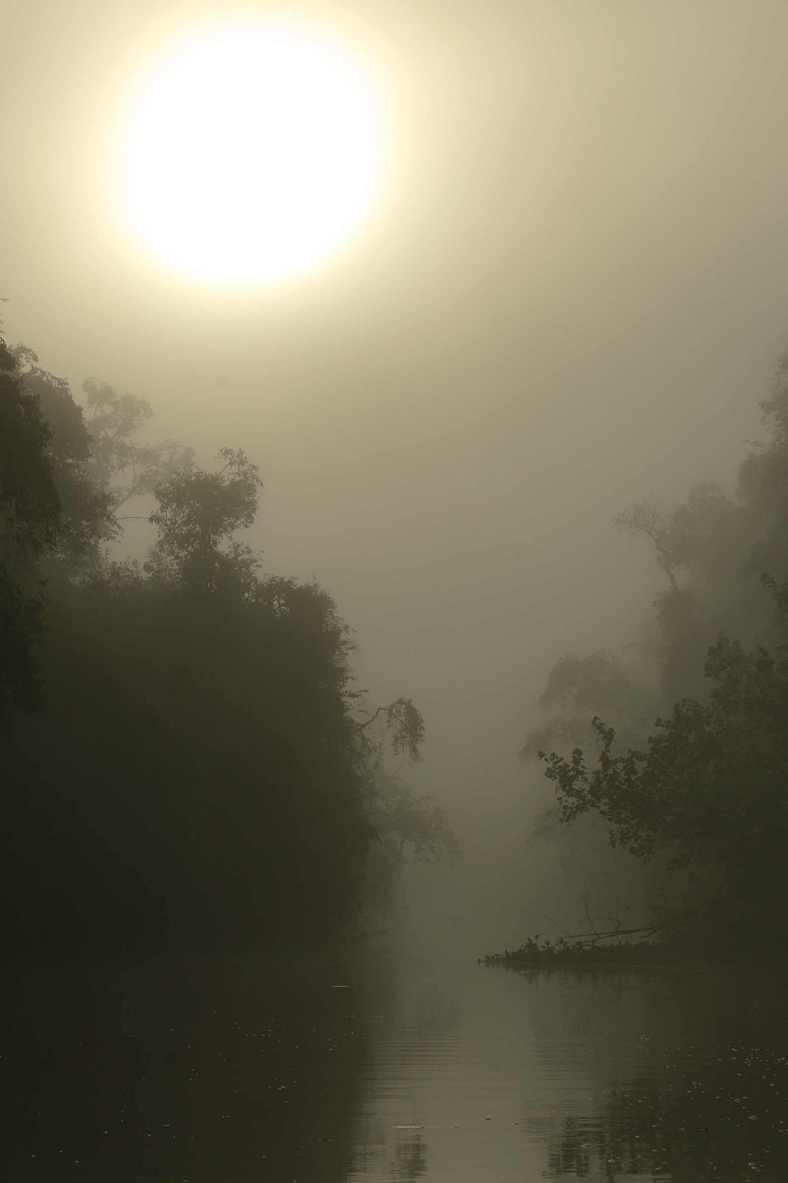 Sunrise on the River Kinabatangan...