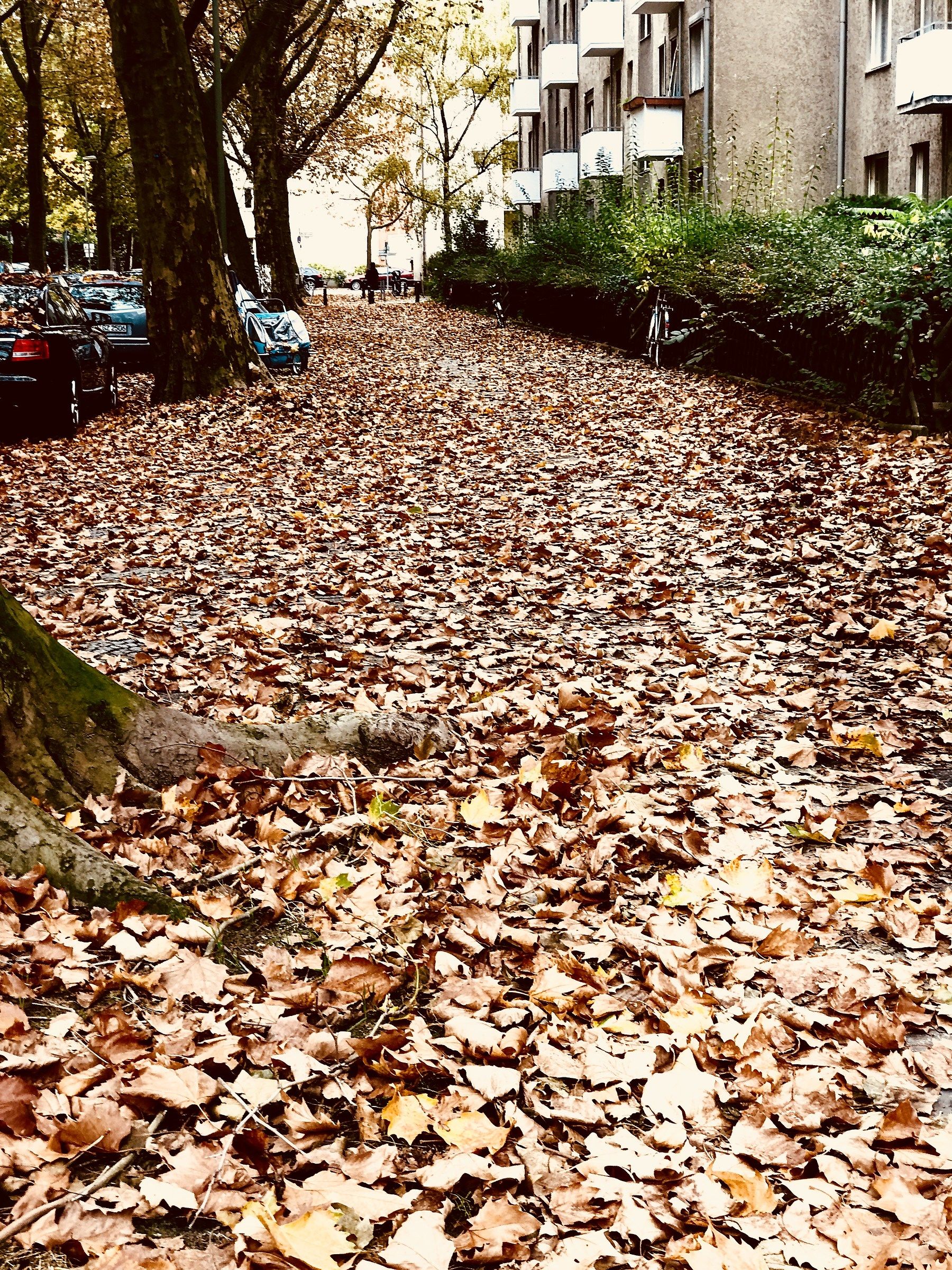 Autumn in Berlin!...