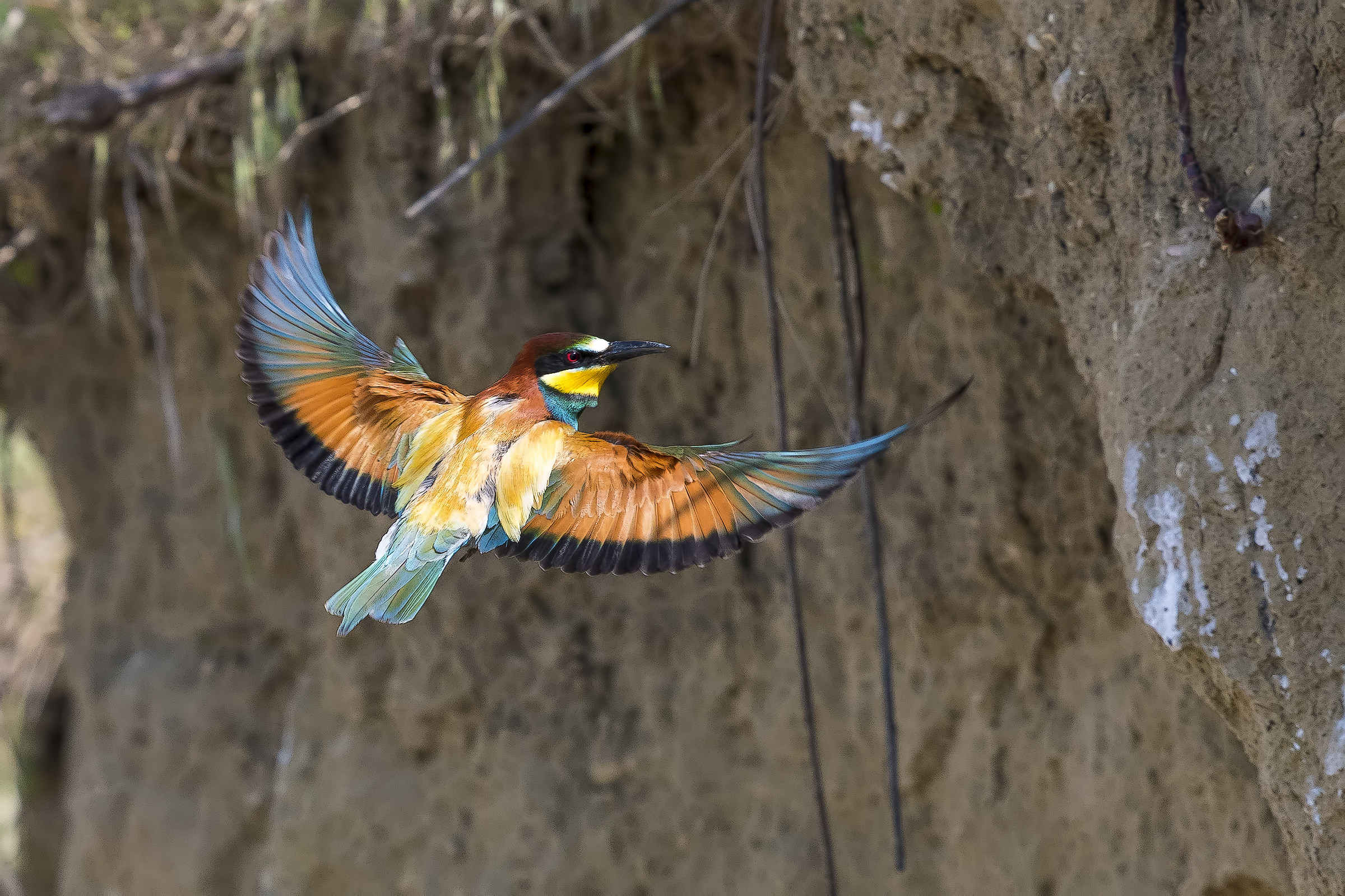 In Flight...