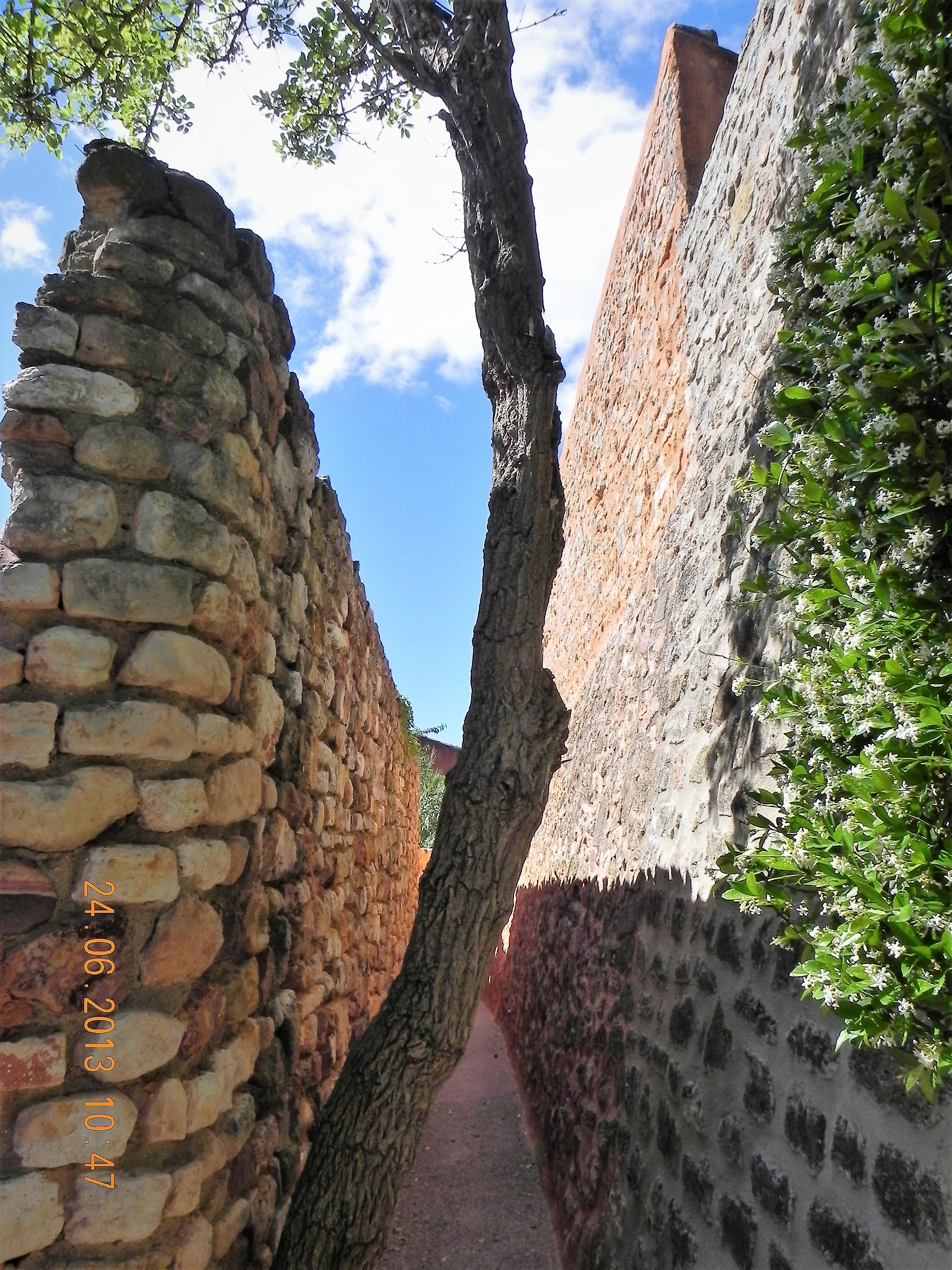provenza...