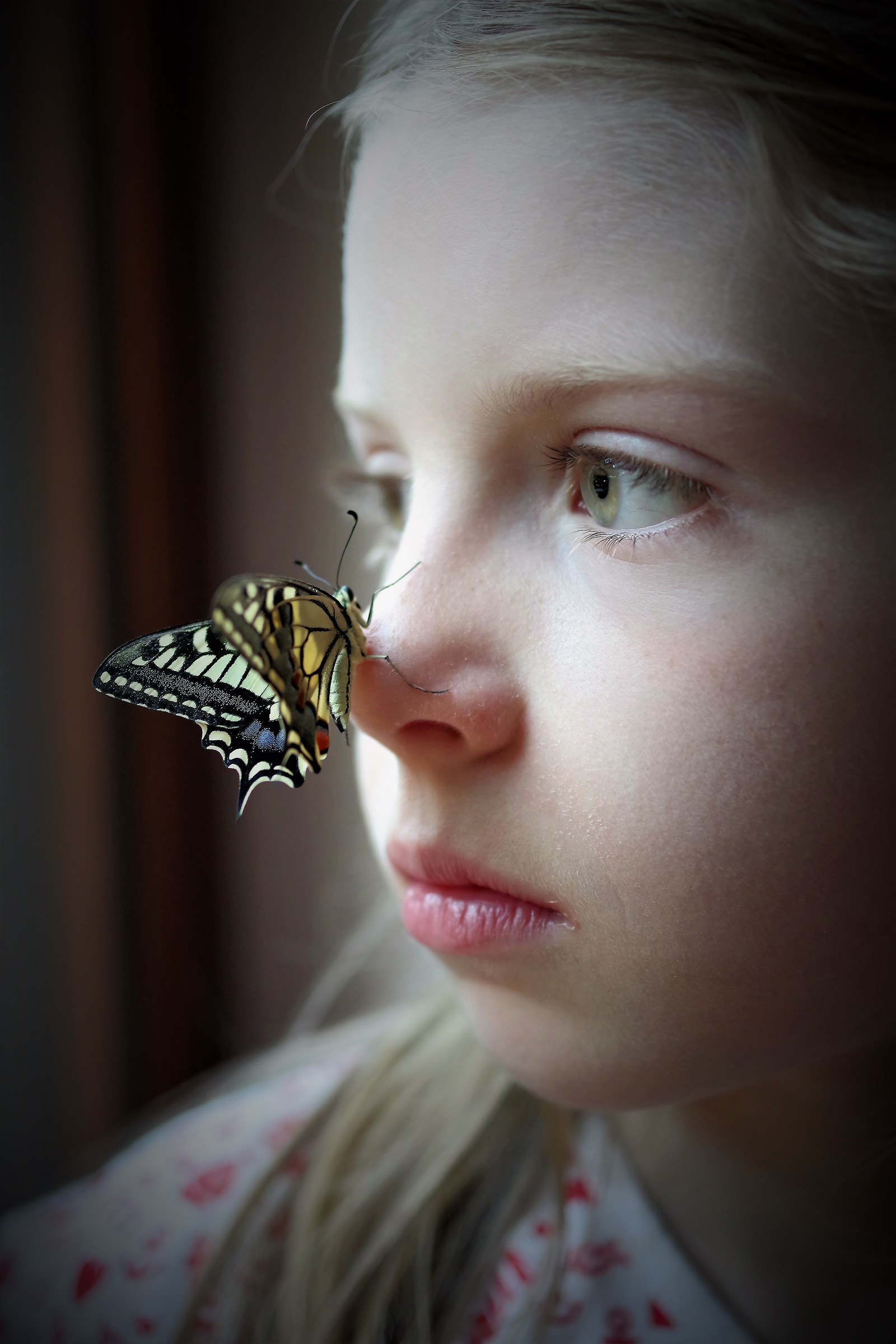 Butterfly portrait...