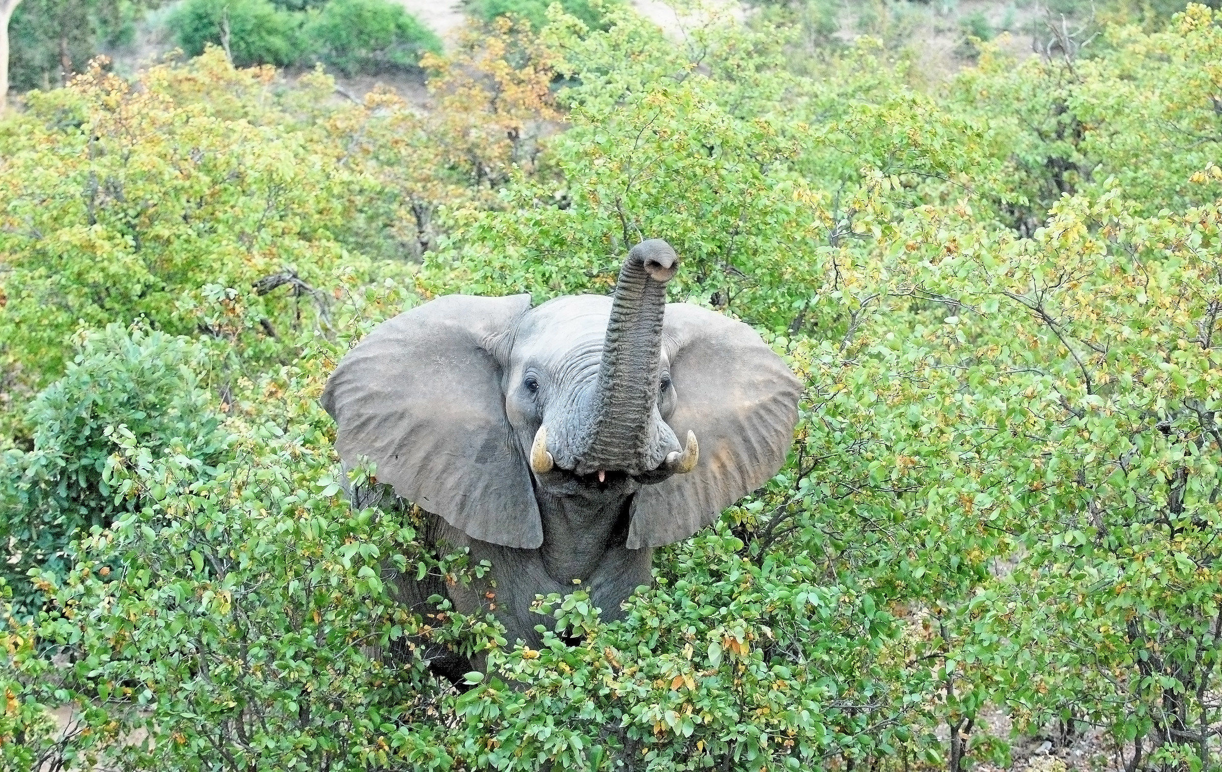 Sudafrica...