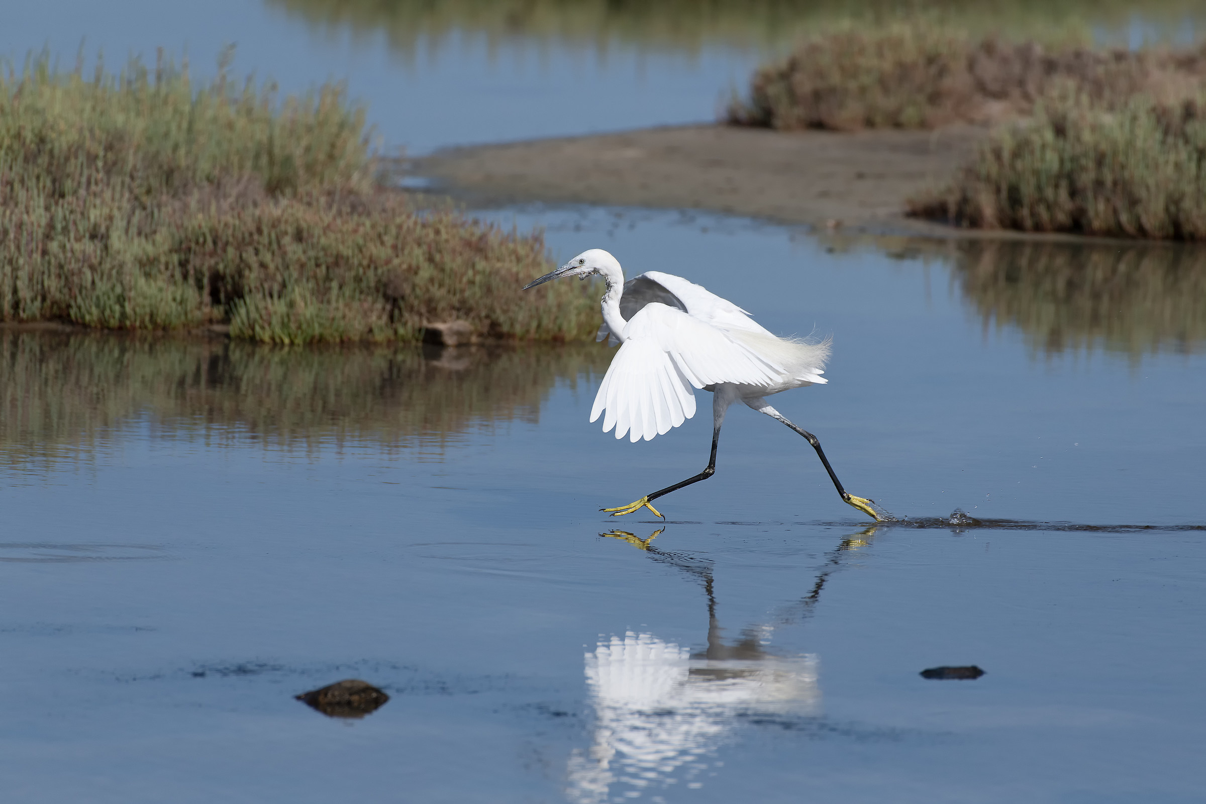 Walking on the water...