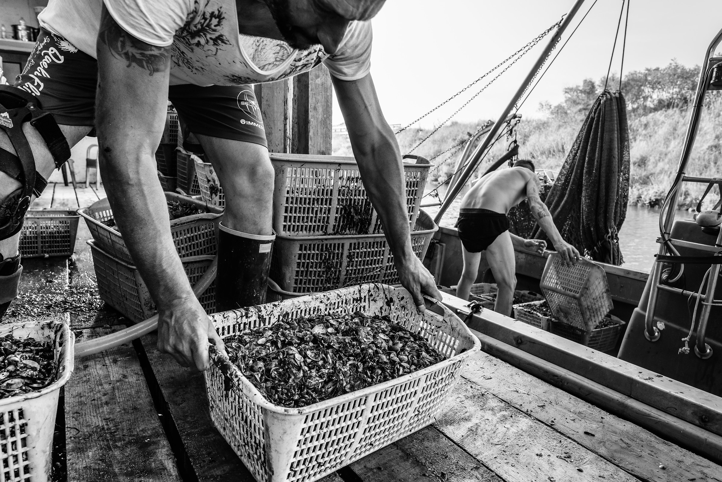 Di carne viva è il lavoro...