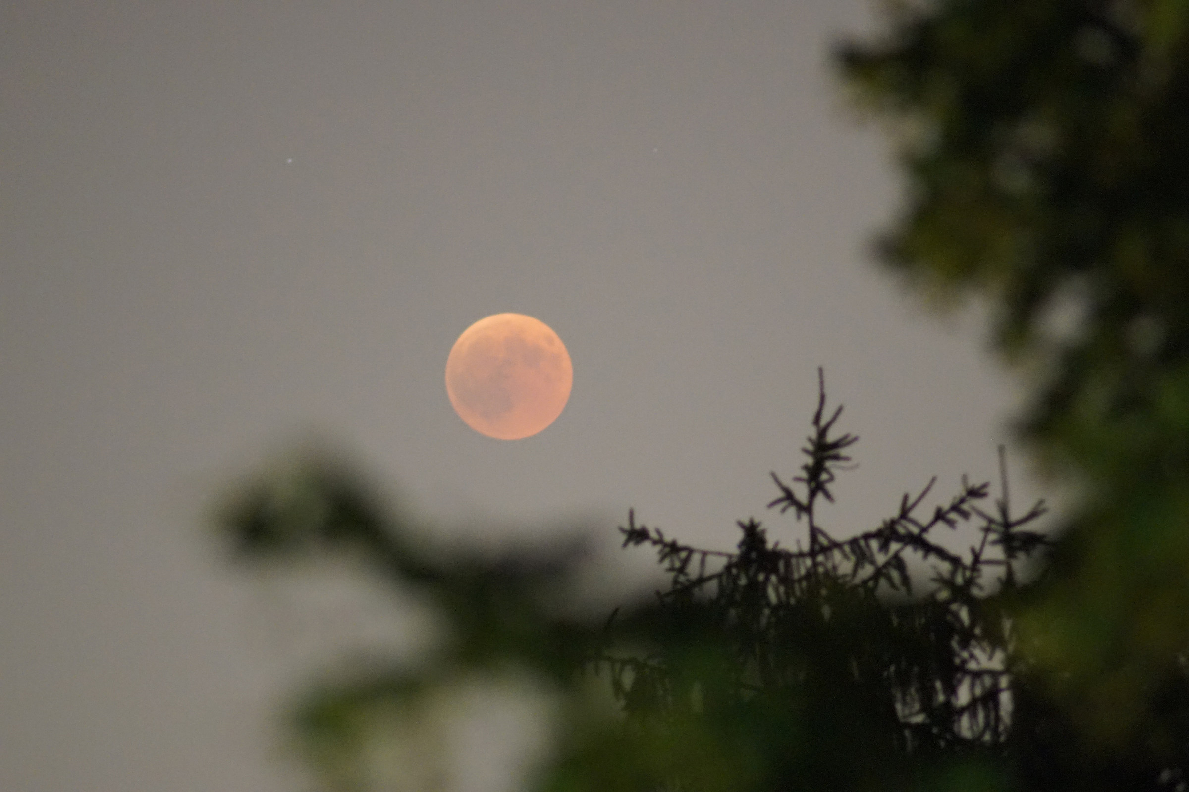 Eclissi di Luna 27/07/2018, niente PP, 300 mm...