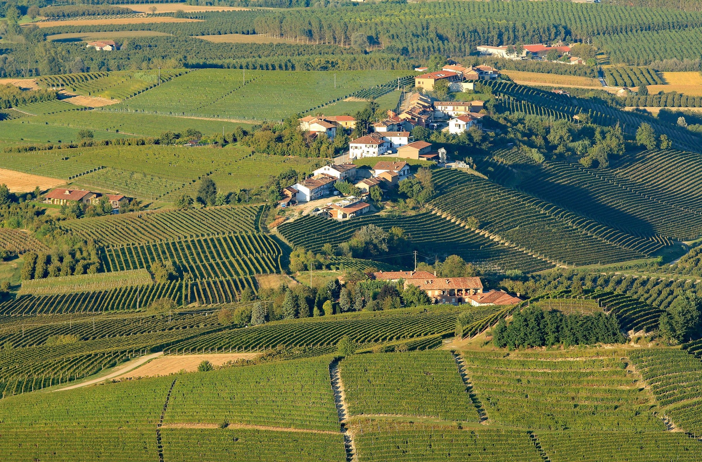 The Langhe of Barolo...