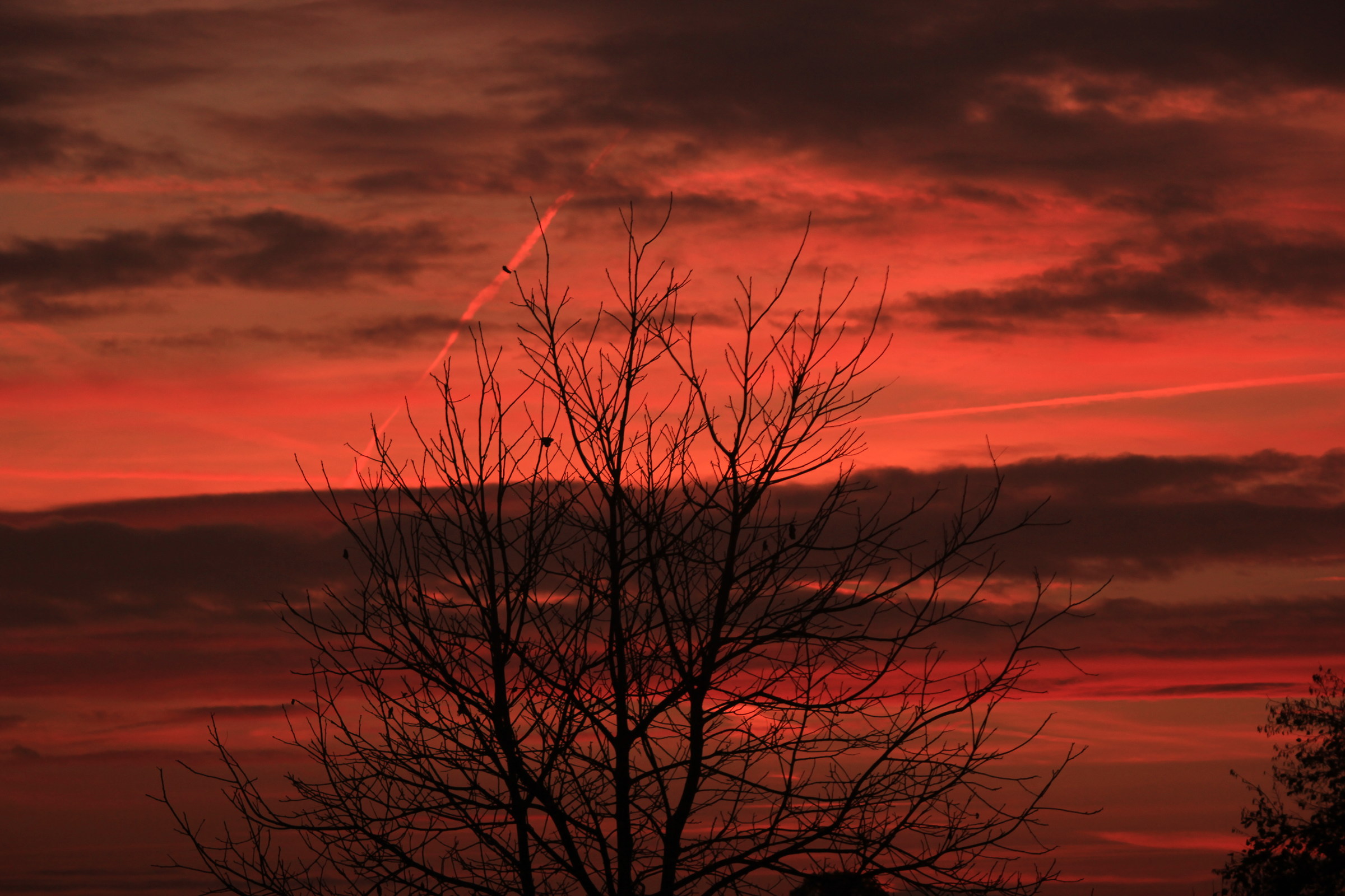 Sunset 2...