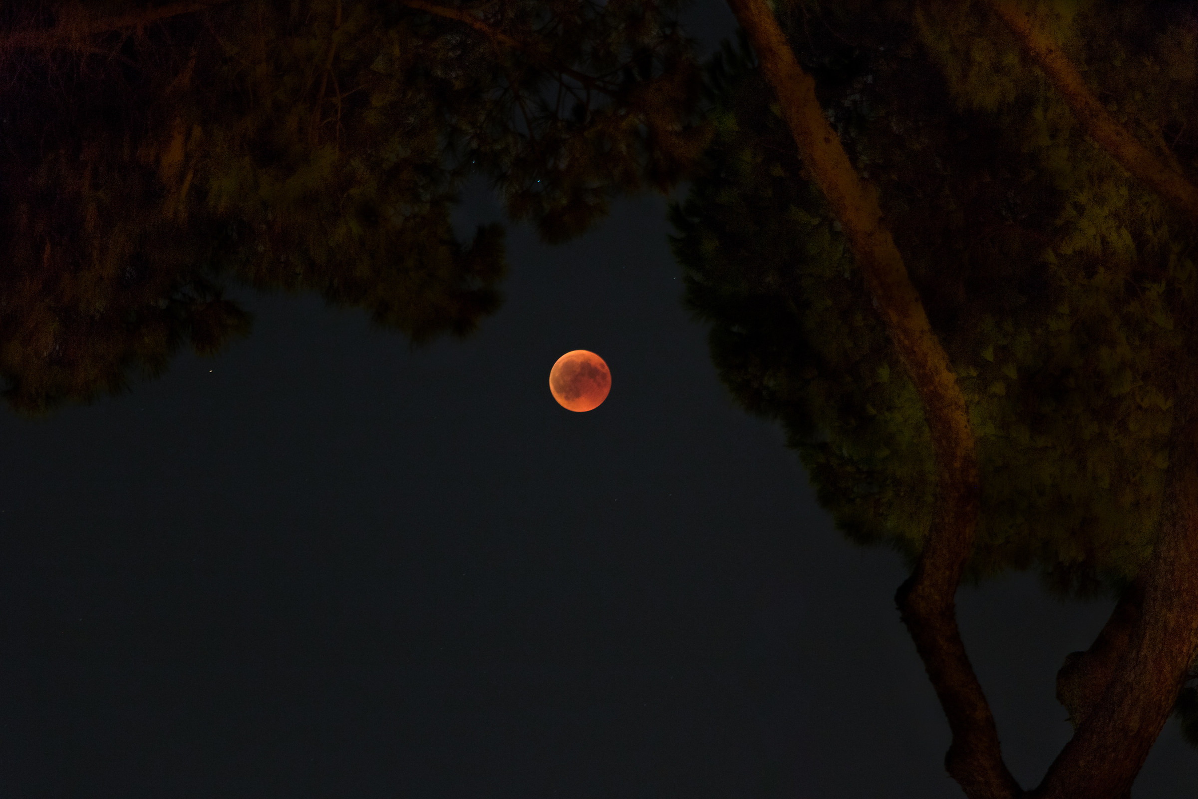 Eclissi di Luna...