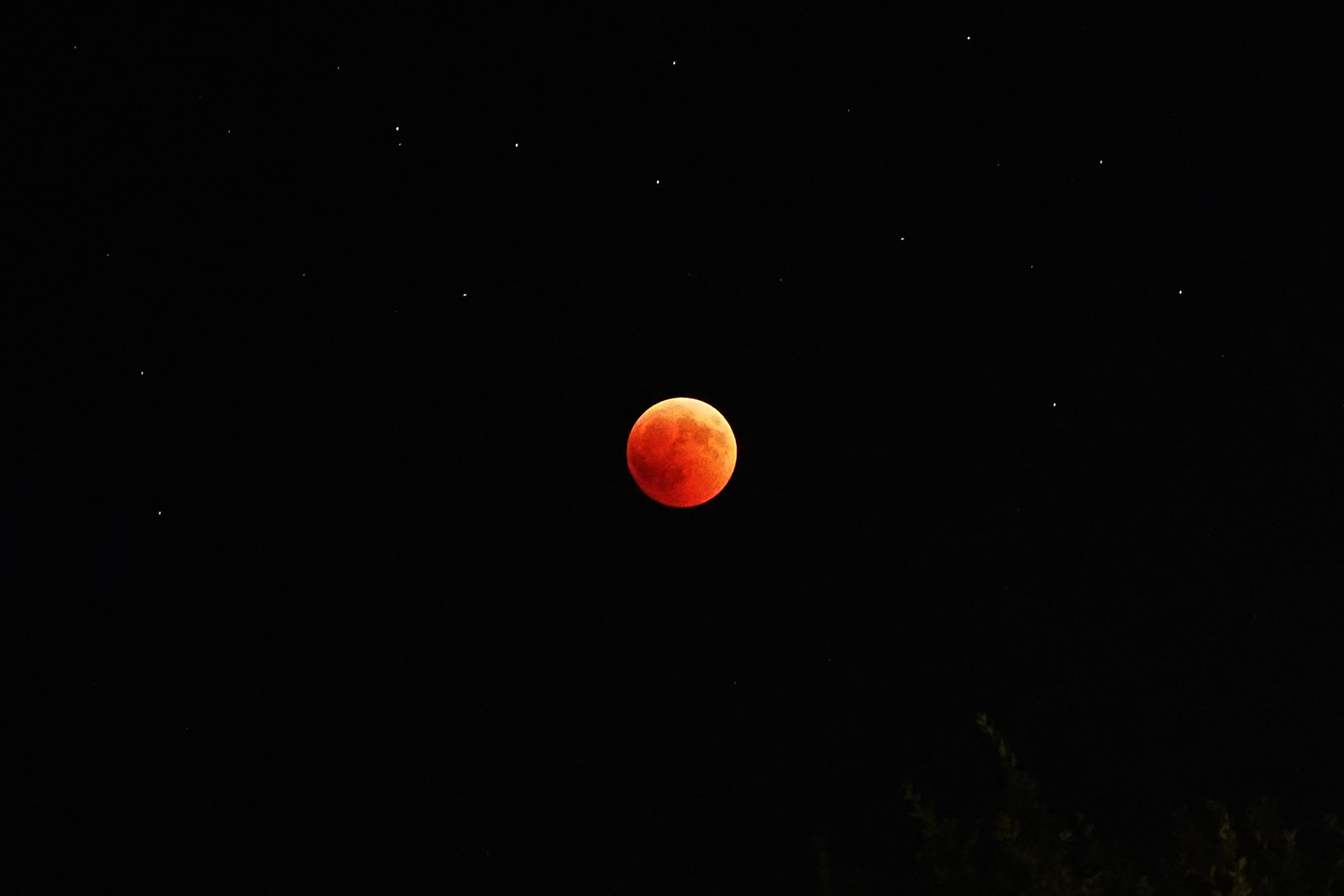 Luna Rossa...