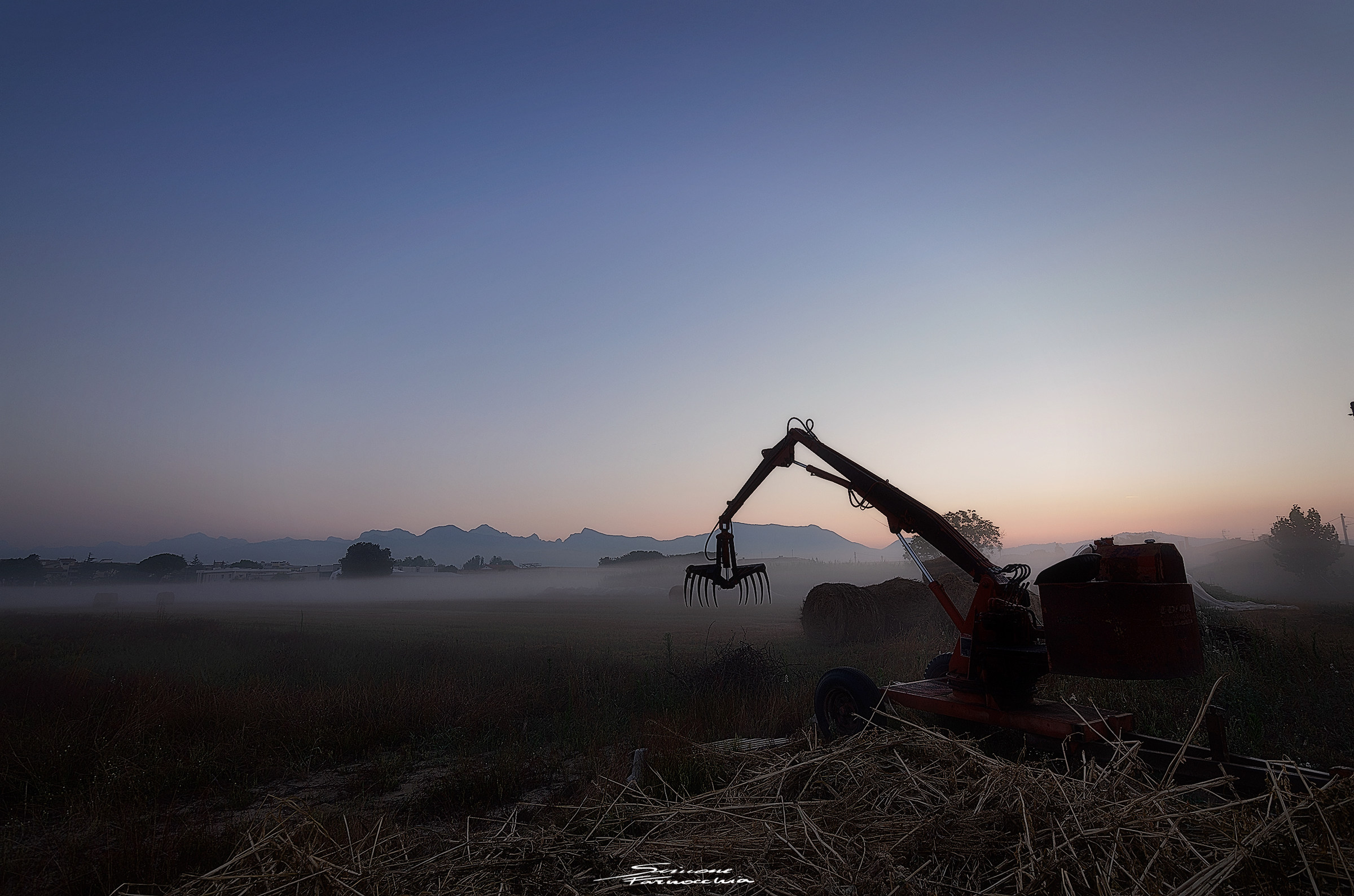 Harvest of Dawn...