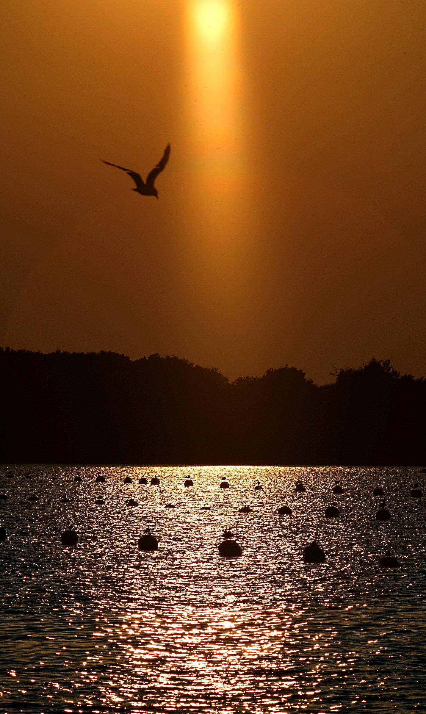 tramonto sul lago Fusaro 2...