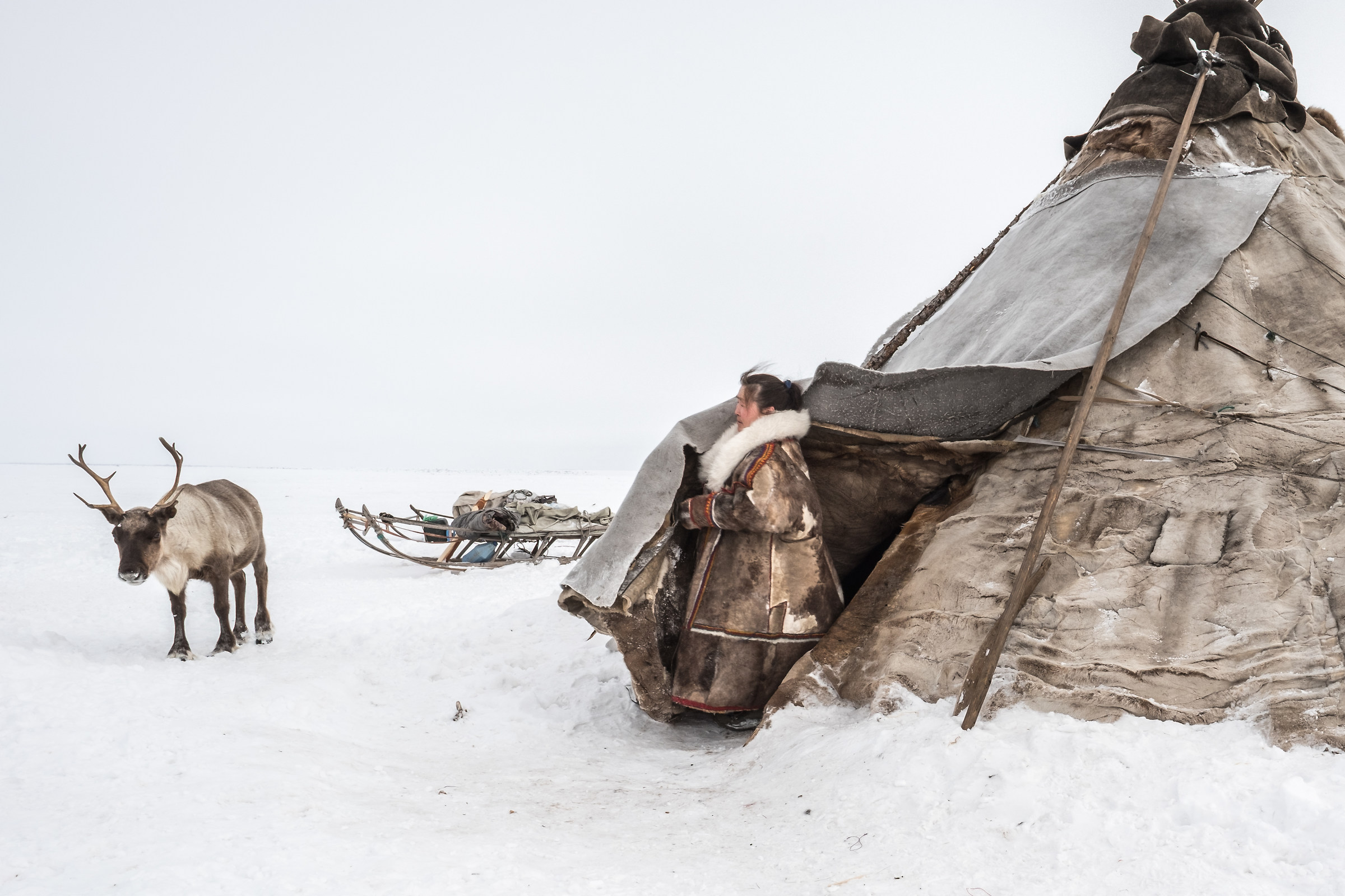 Vivere nella tundra (Yamal Peninsula)...