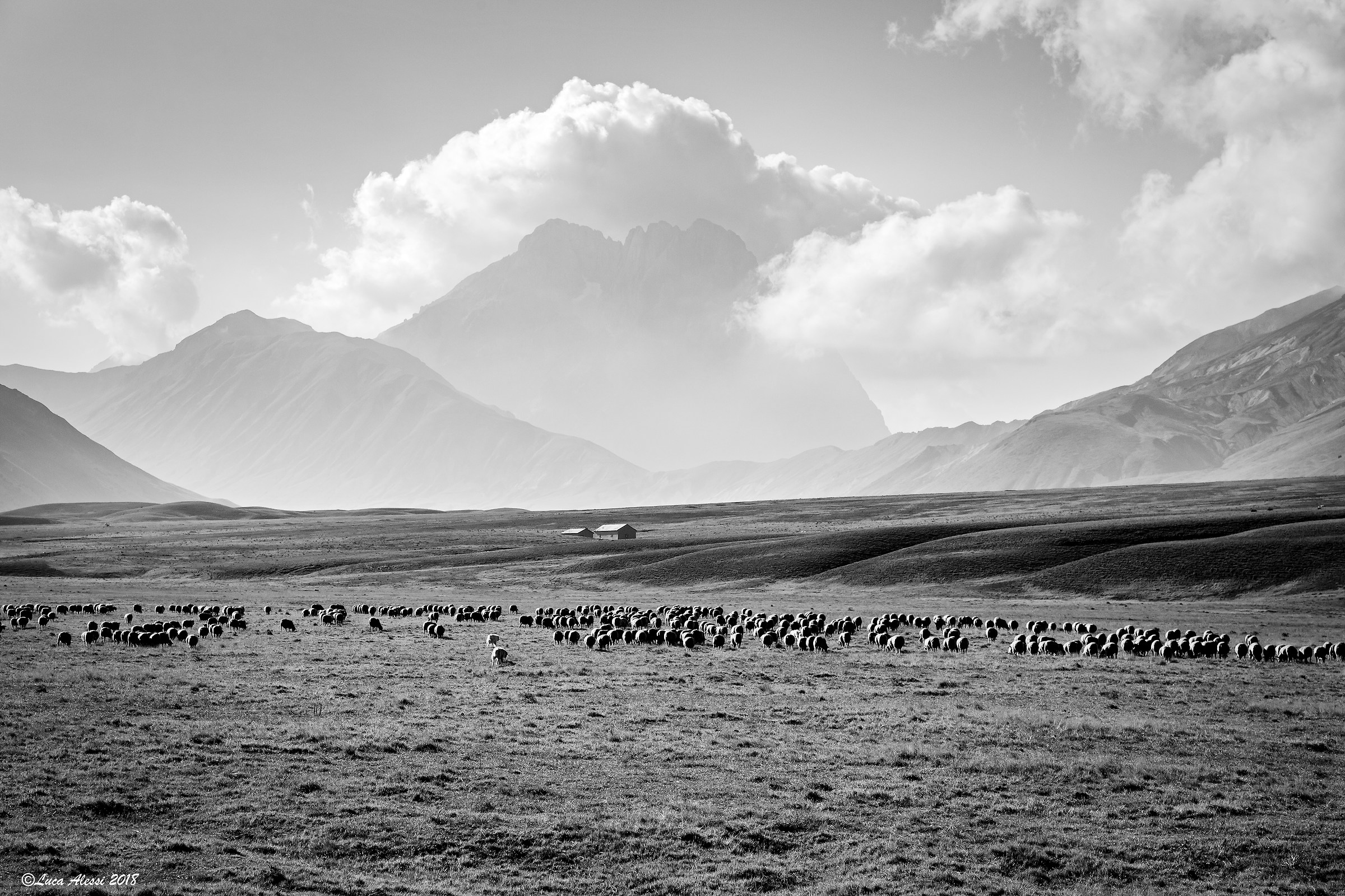 Grazing under the GI...