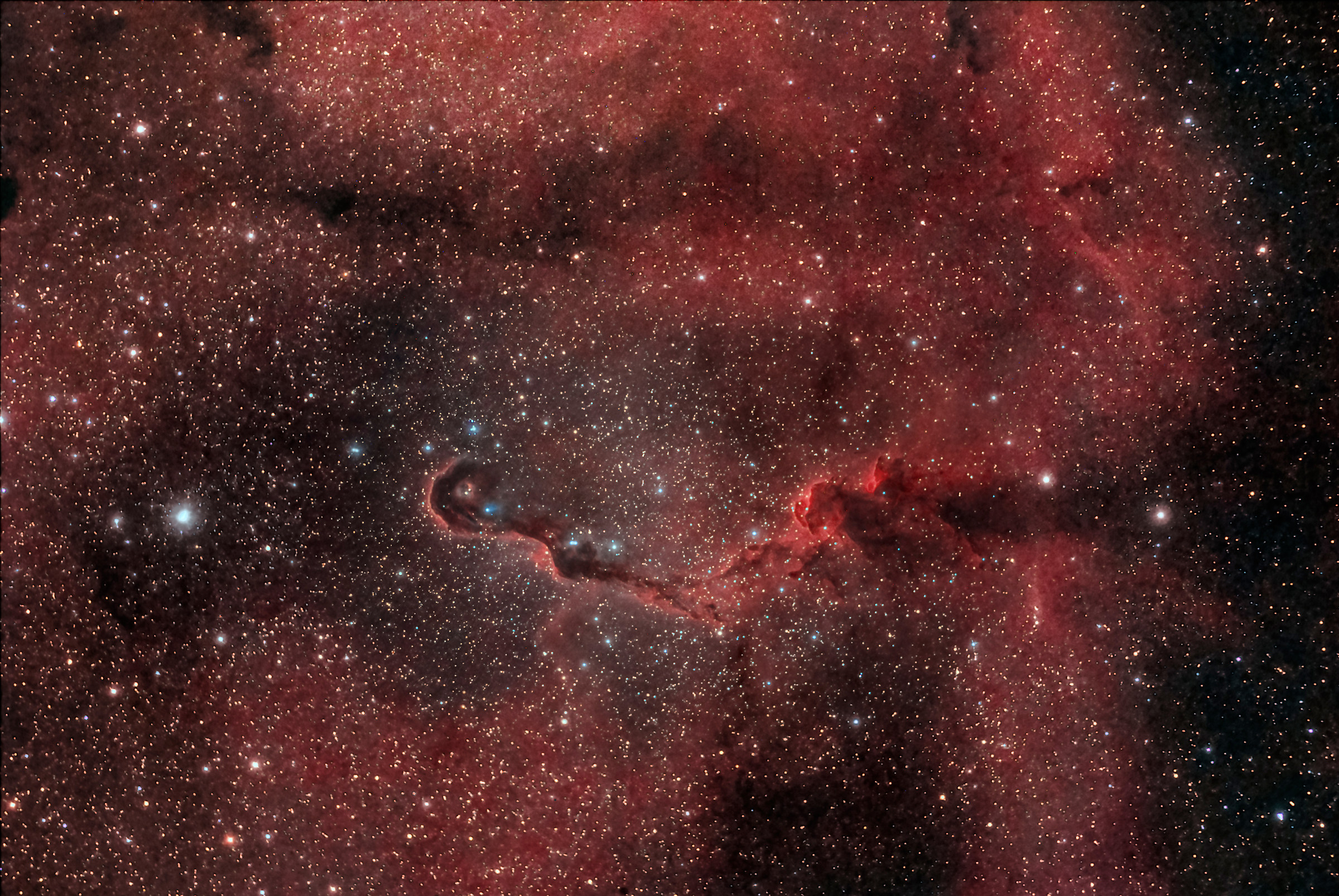 IC1396 ' Elephant Trunk ' in the Cefeo...