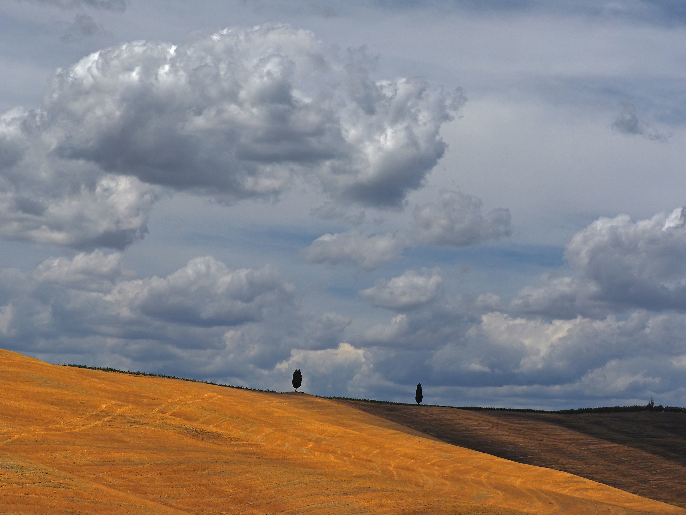 campagna val d,orcia...