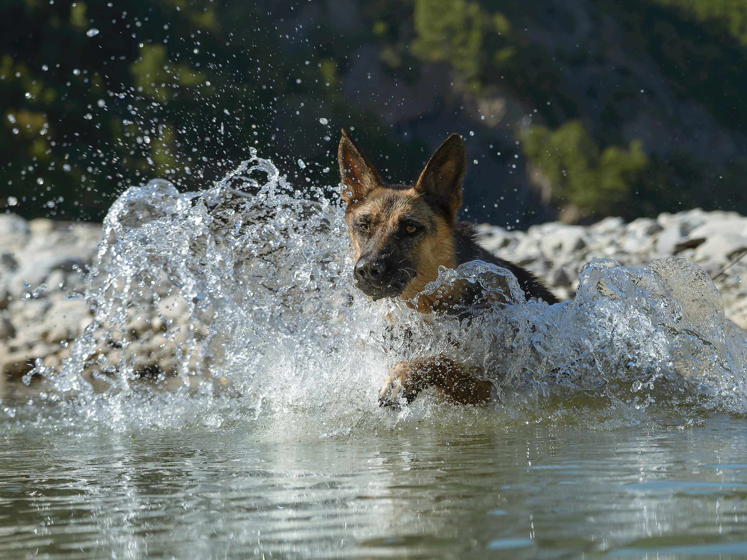 Giochi d'acqua...