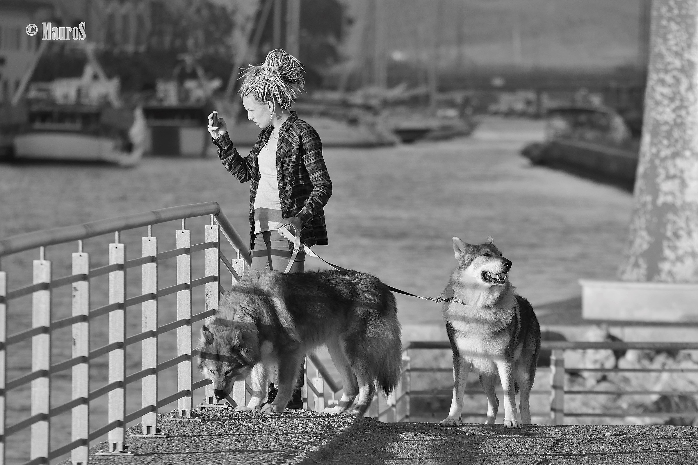 Girl with dogs...