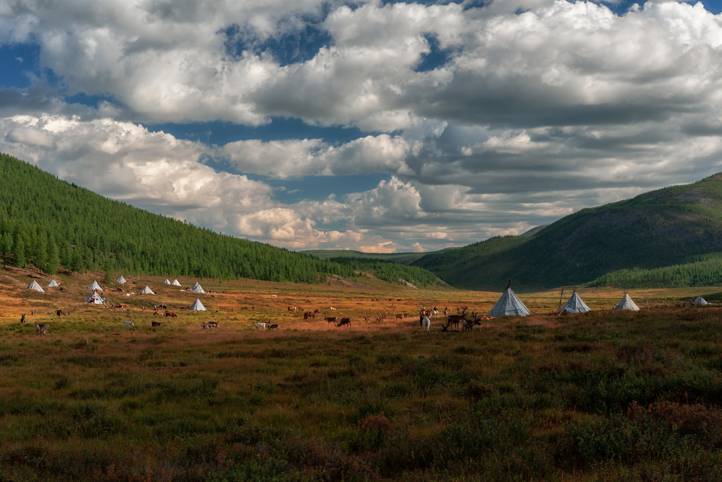 Tsaatan Camp,Mongolia...