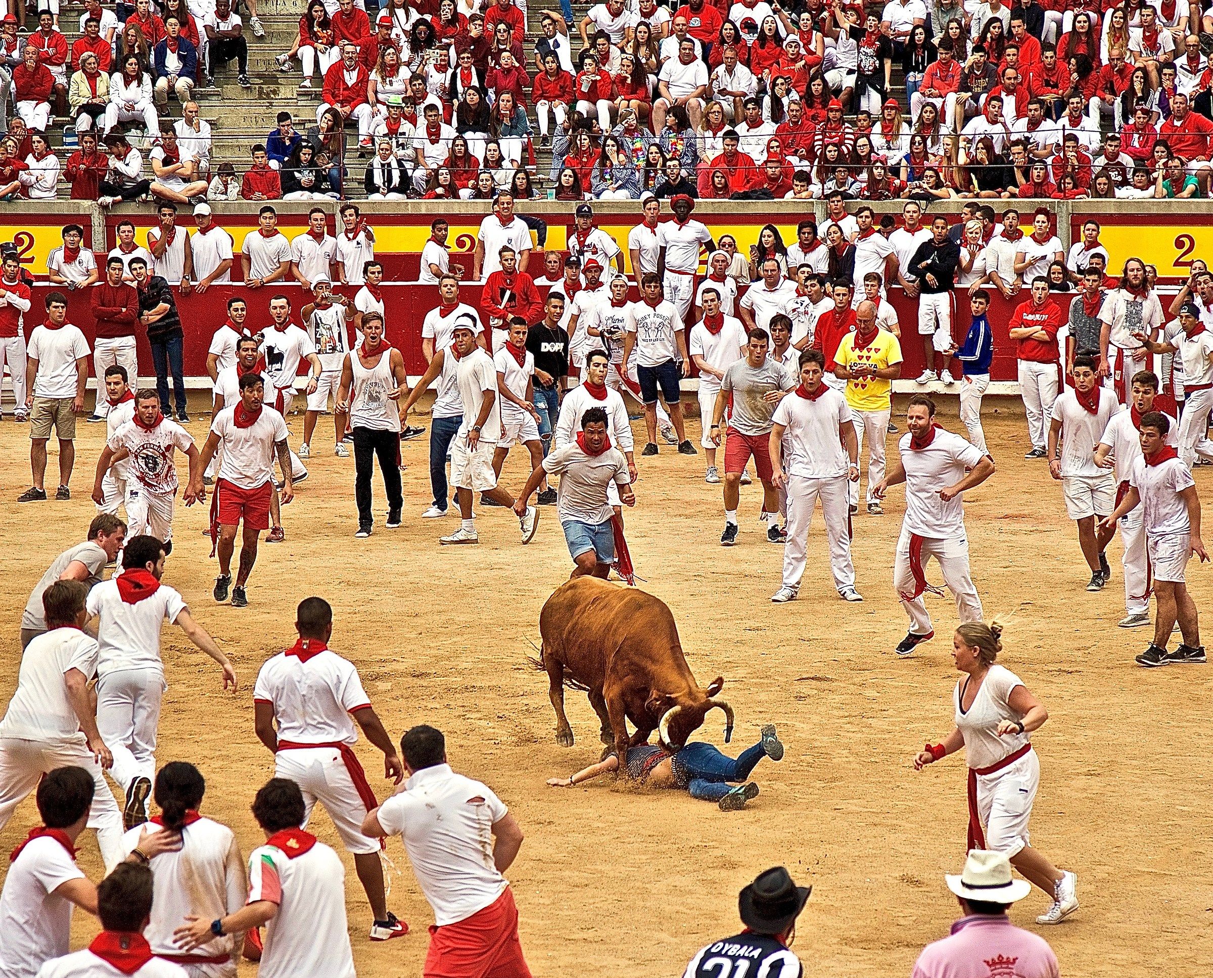 Pamplona 2...