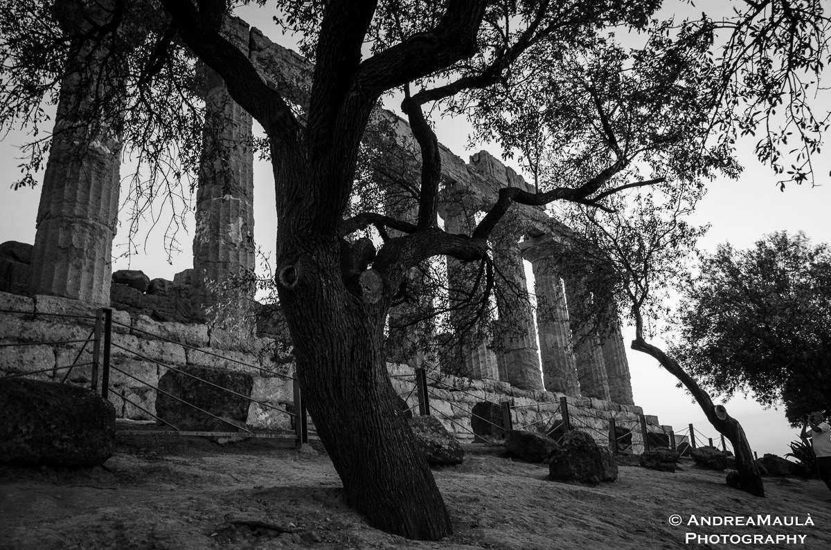Valle dei Templi...