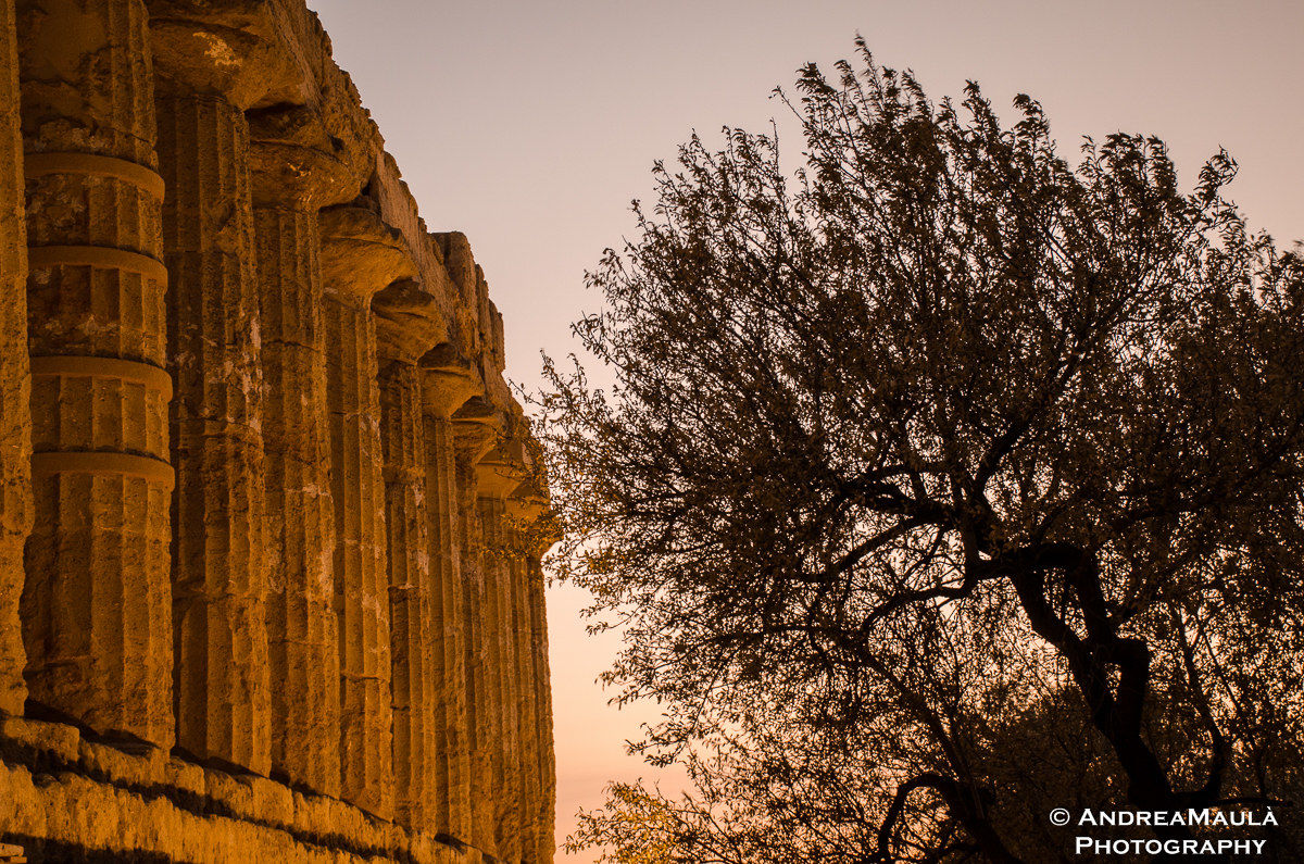 Valle dei Templi...