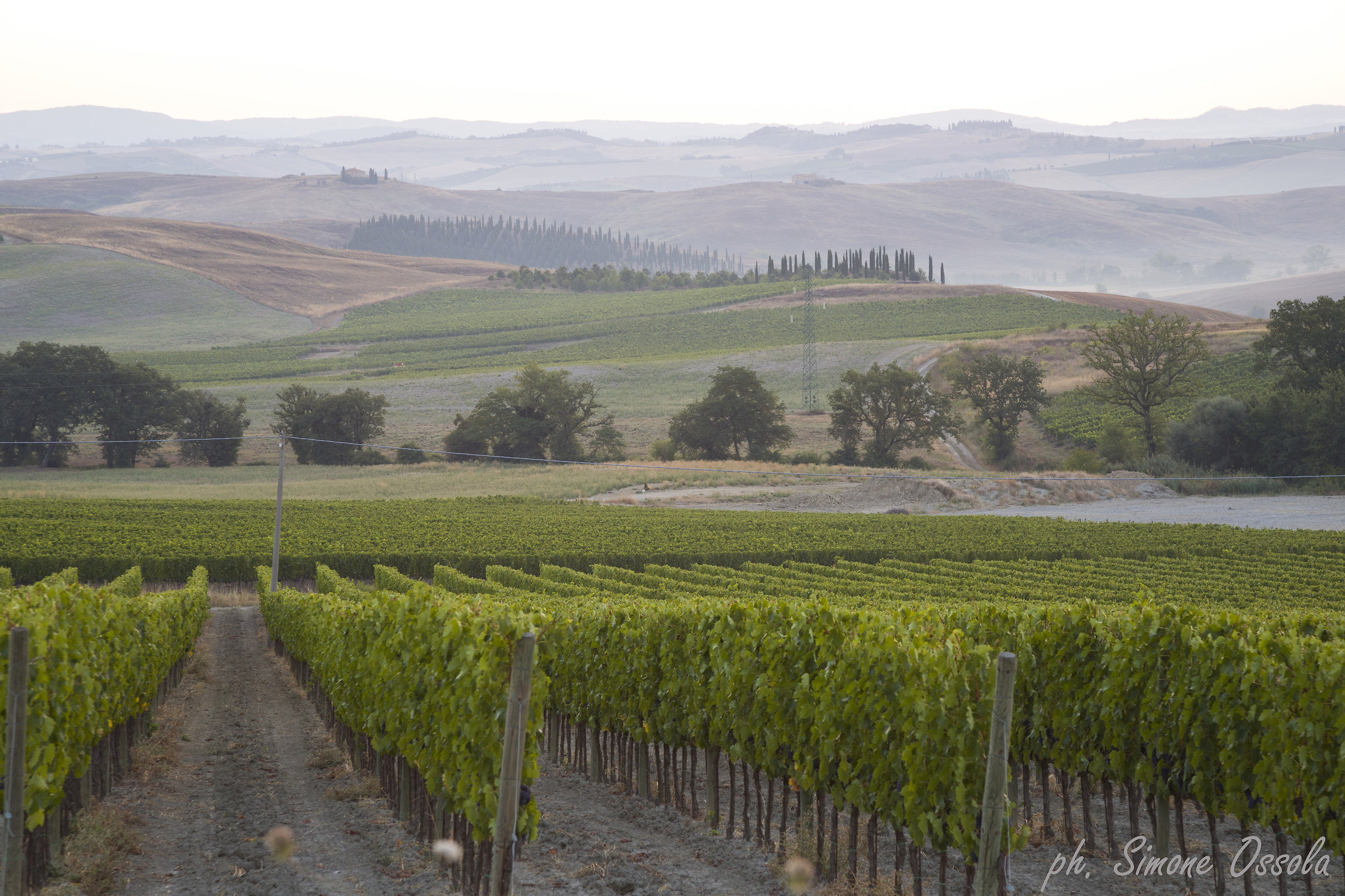 From the vineyards of Brunello to the Val d'orcia.......