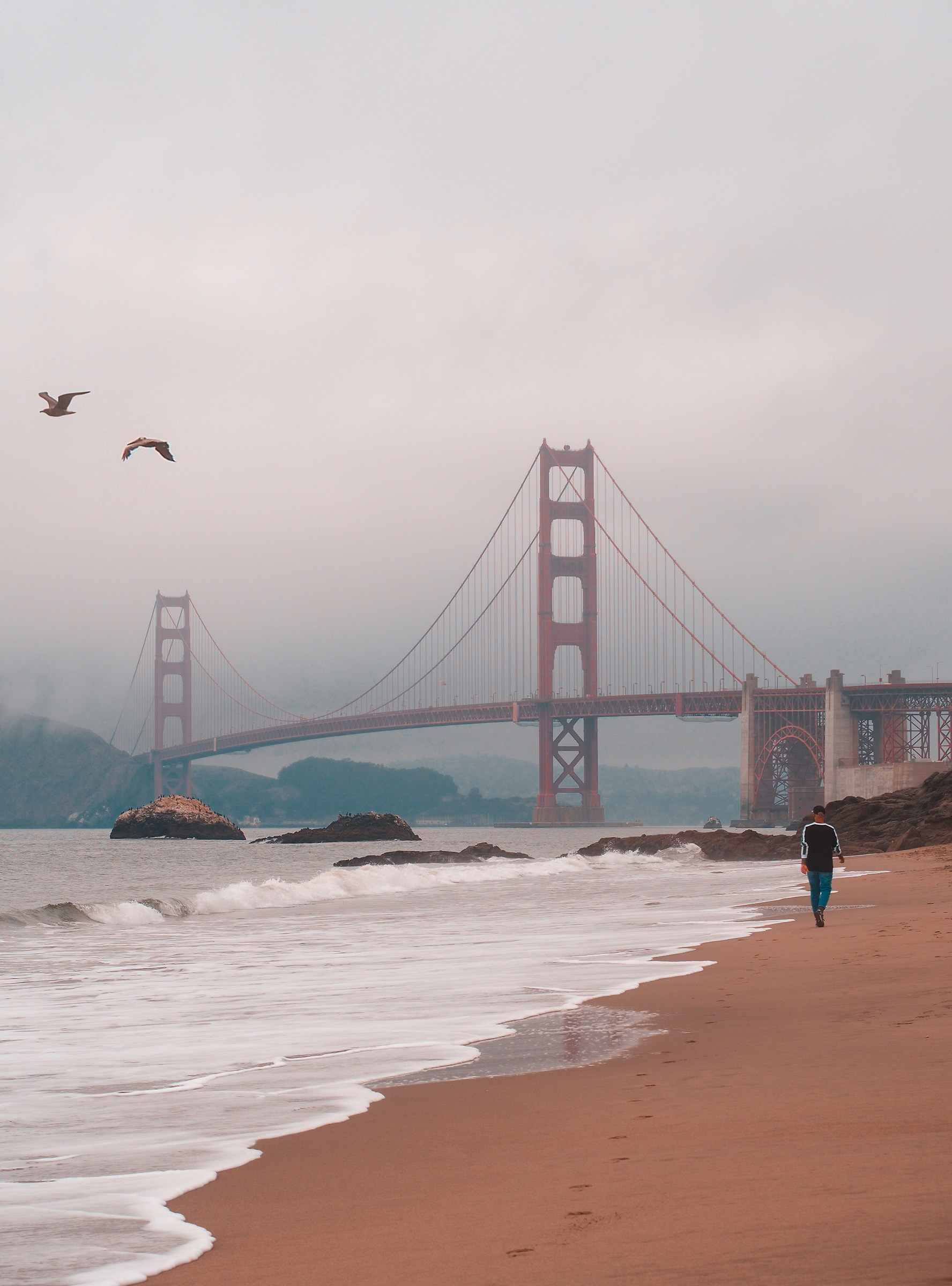 Nebbia sul Golden Gate Bridge, San Francisco...