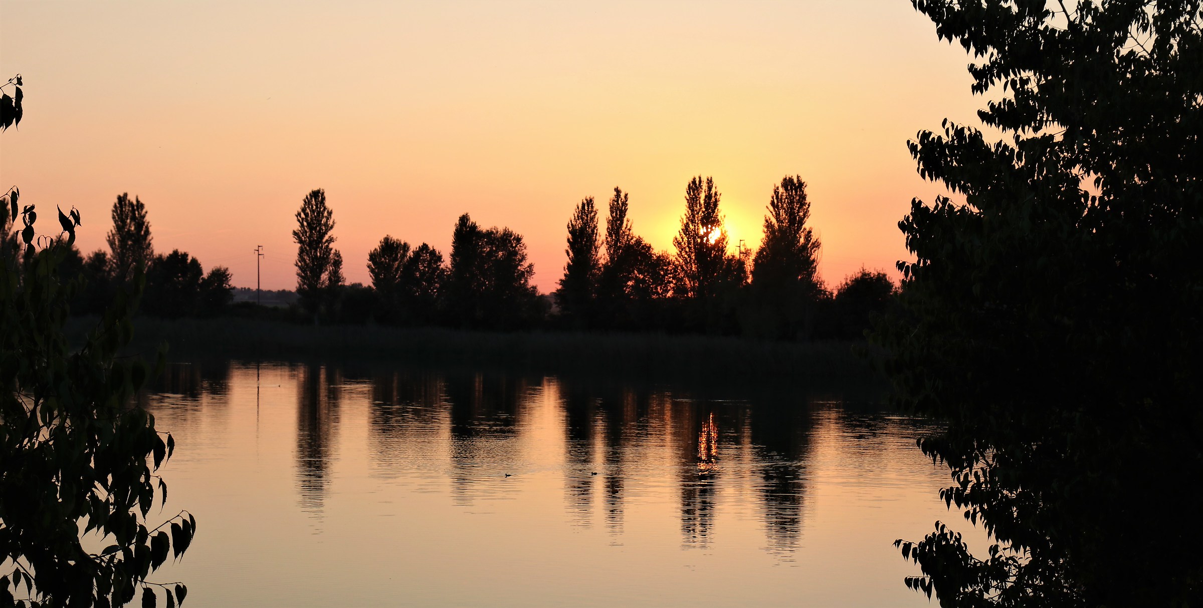 Pond at sunset...