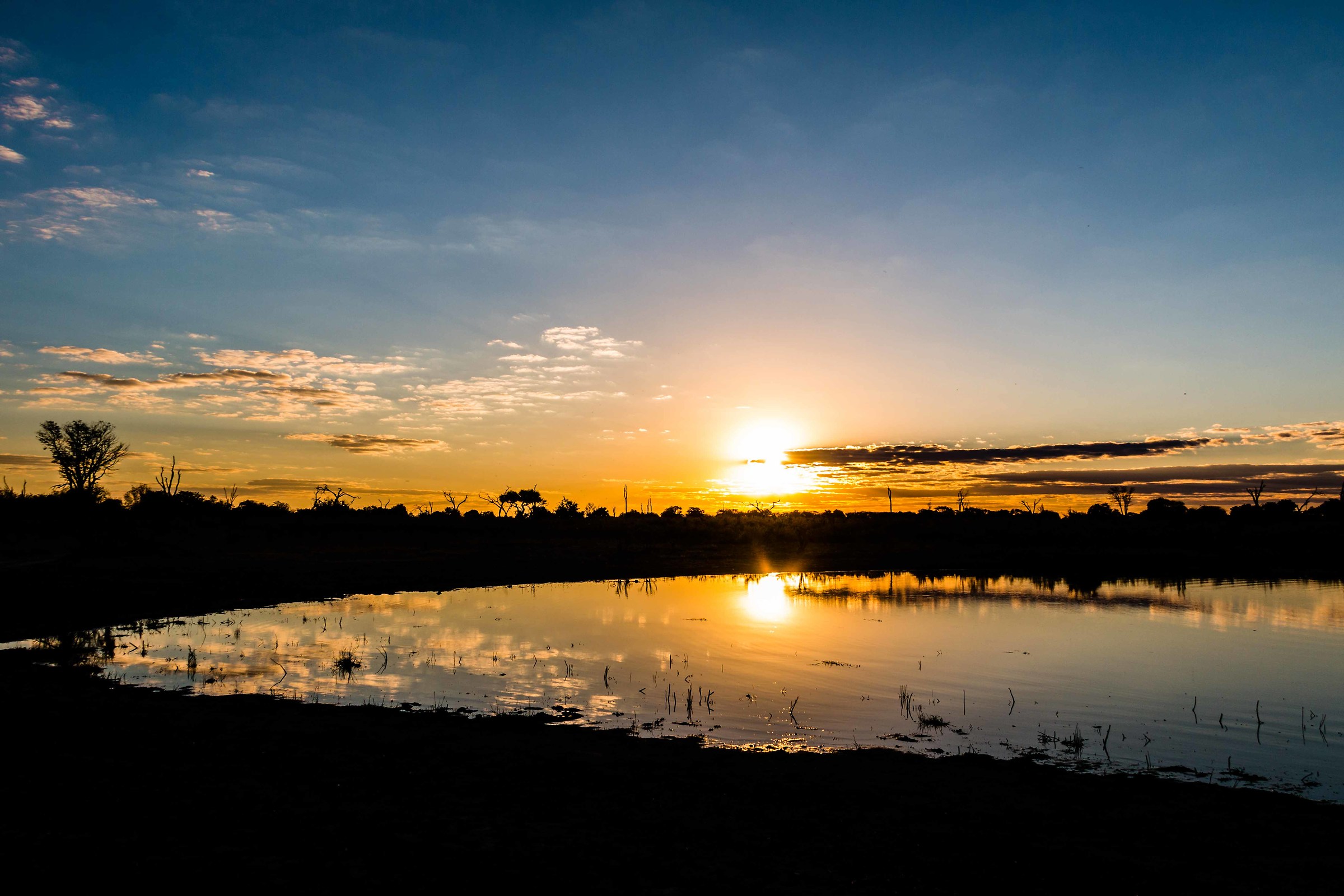 Untitled Photo...
