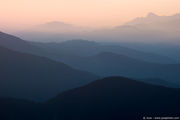 [Photo]
