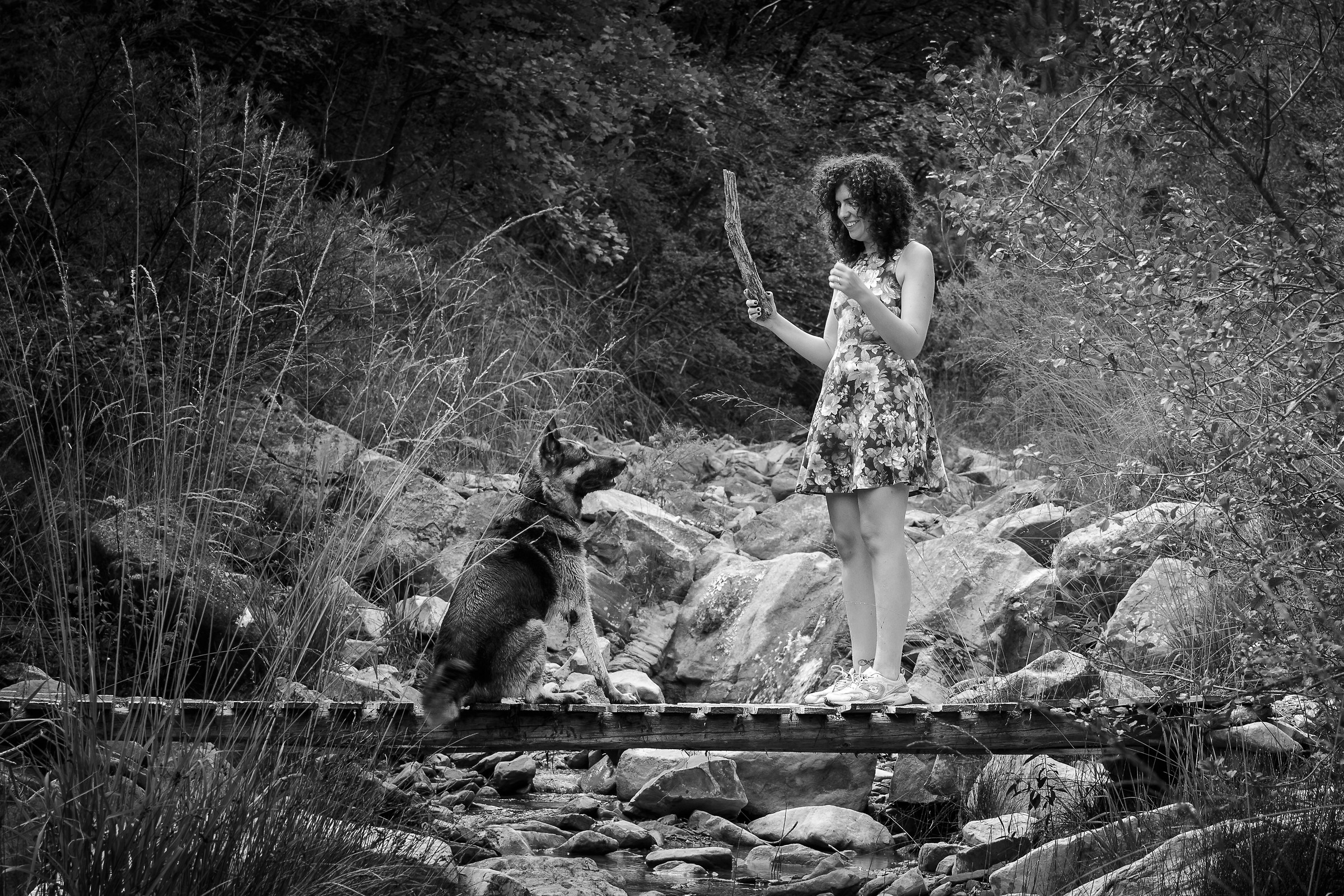 Untitled Photo...