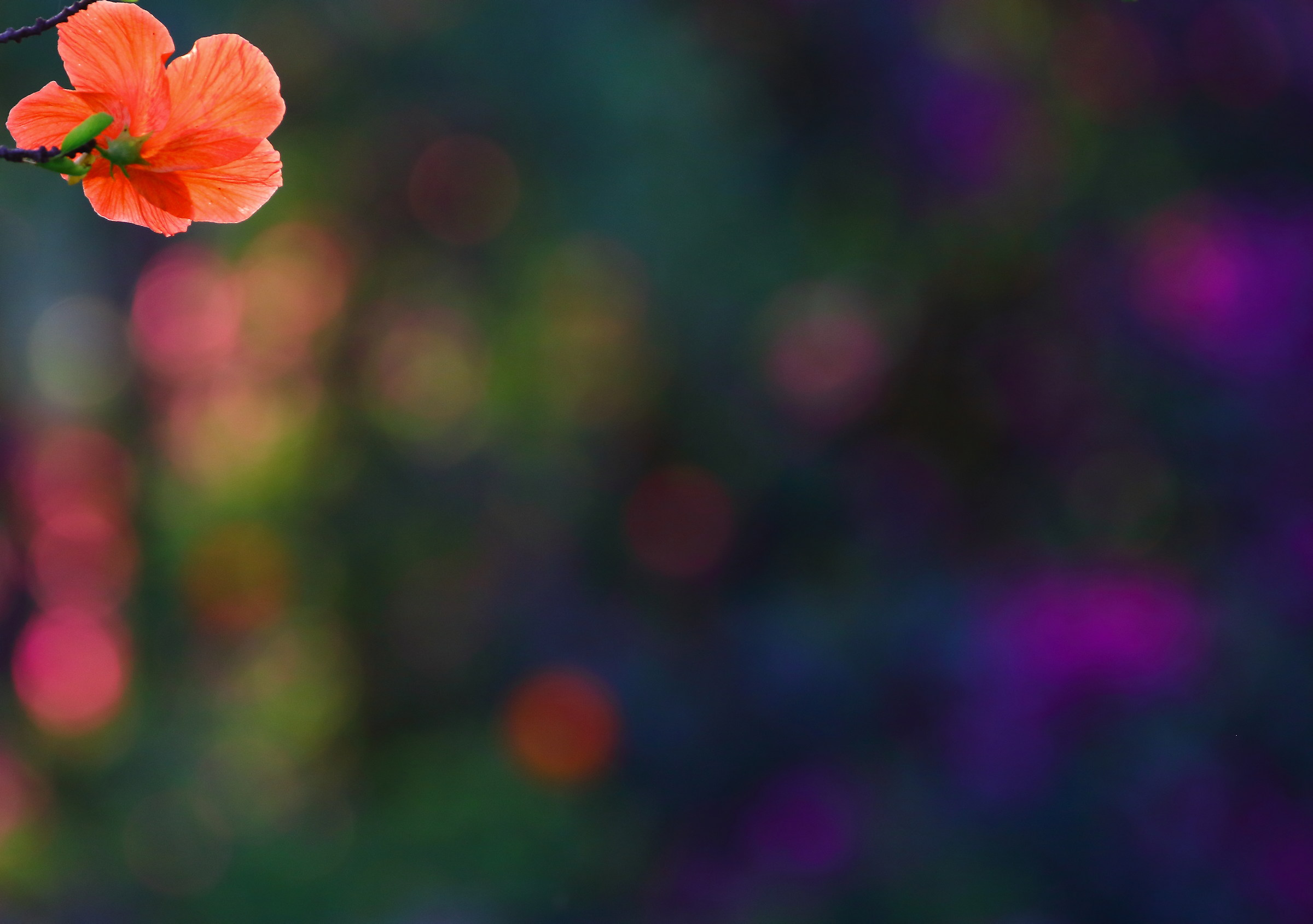 Untitled Photo...