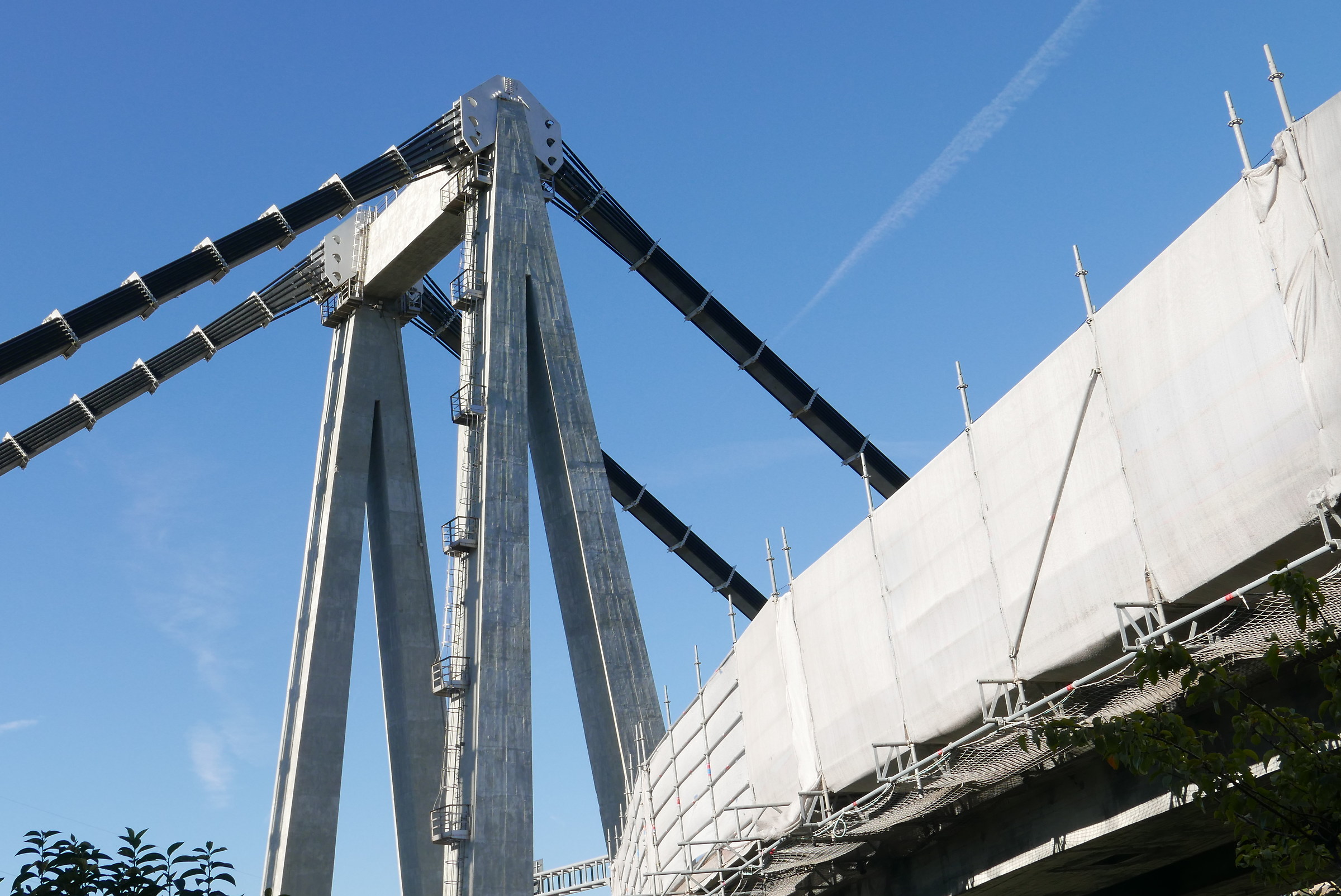 Ponte Morandi; stralli rinforzati sul pilone Est...