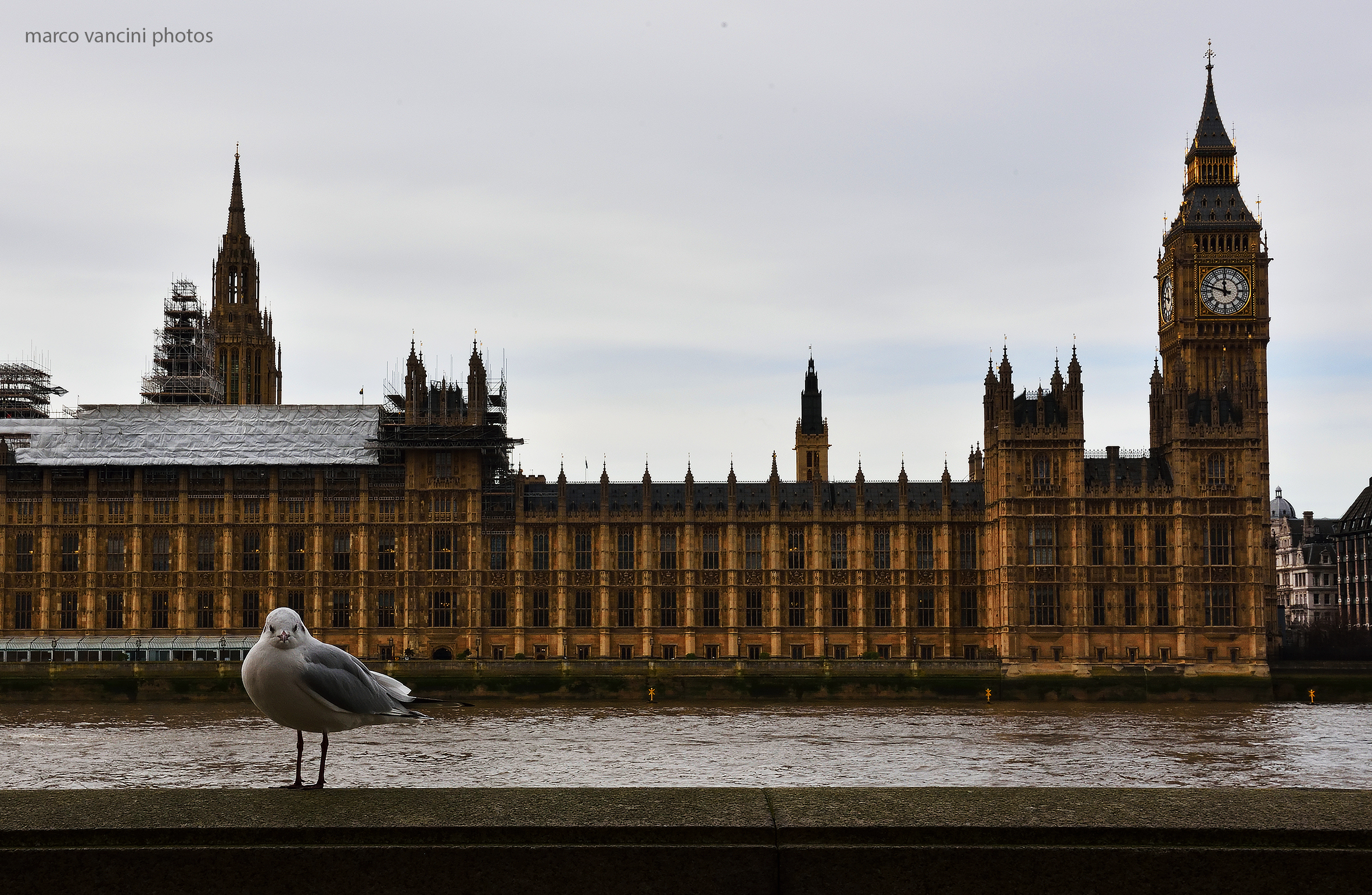 the guardian of the palace of westminster...