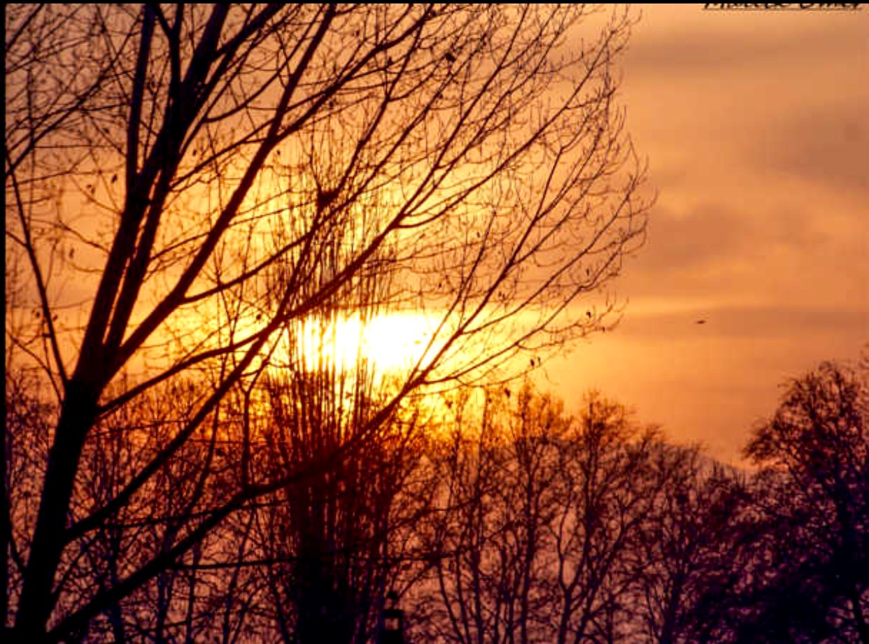 Untitled Photo...