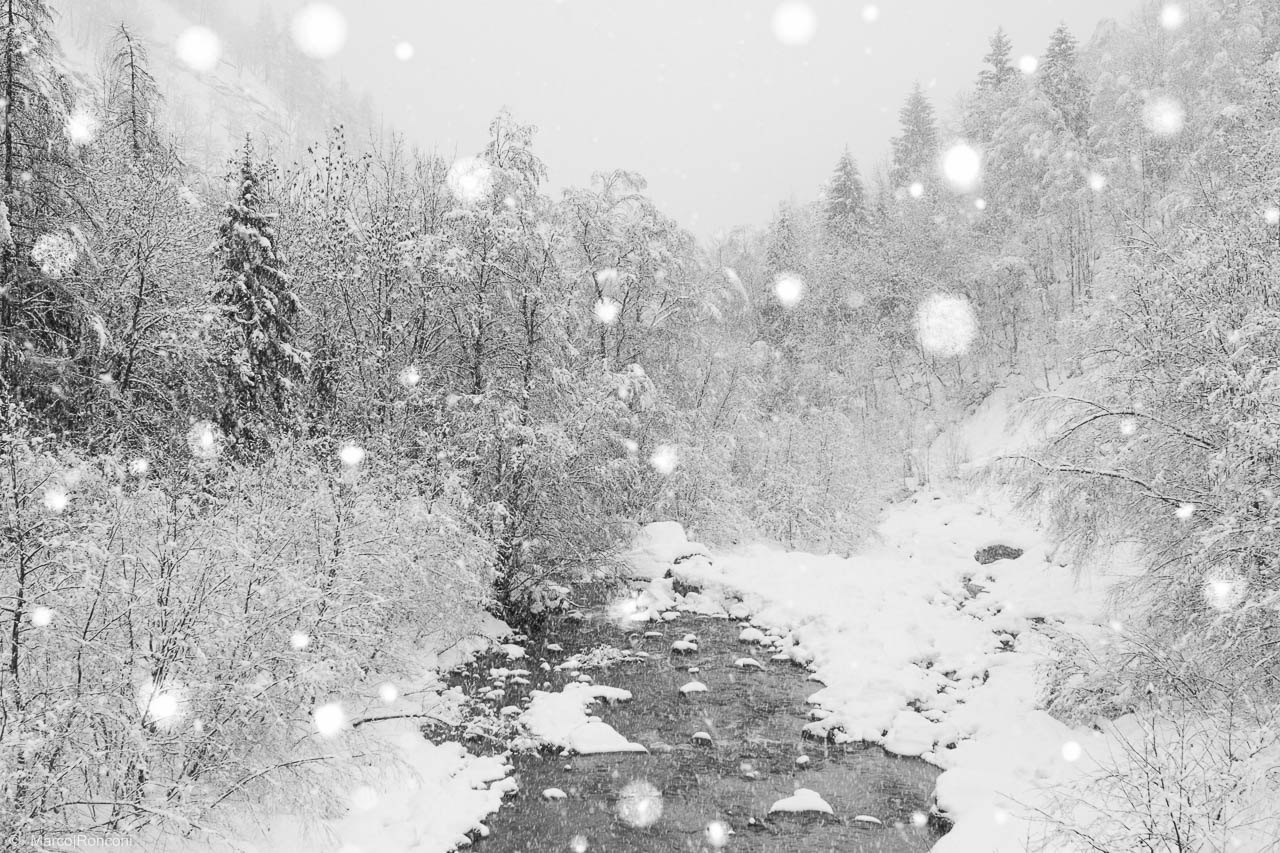 valsavarenche of snowy creek...