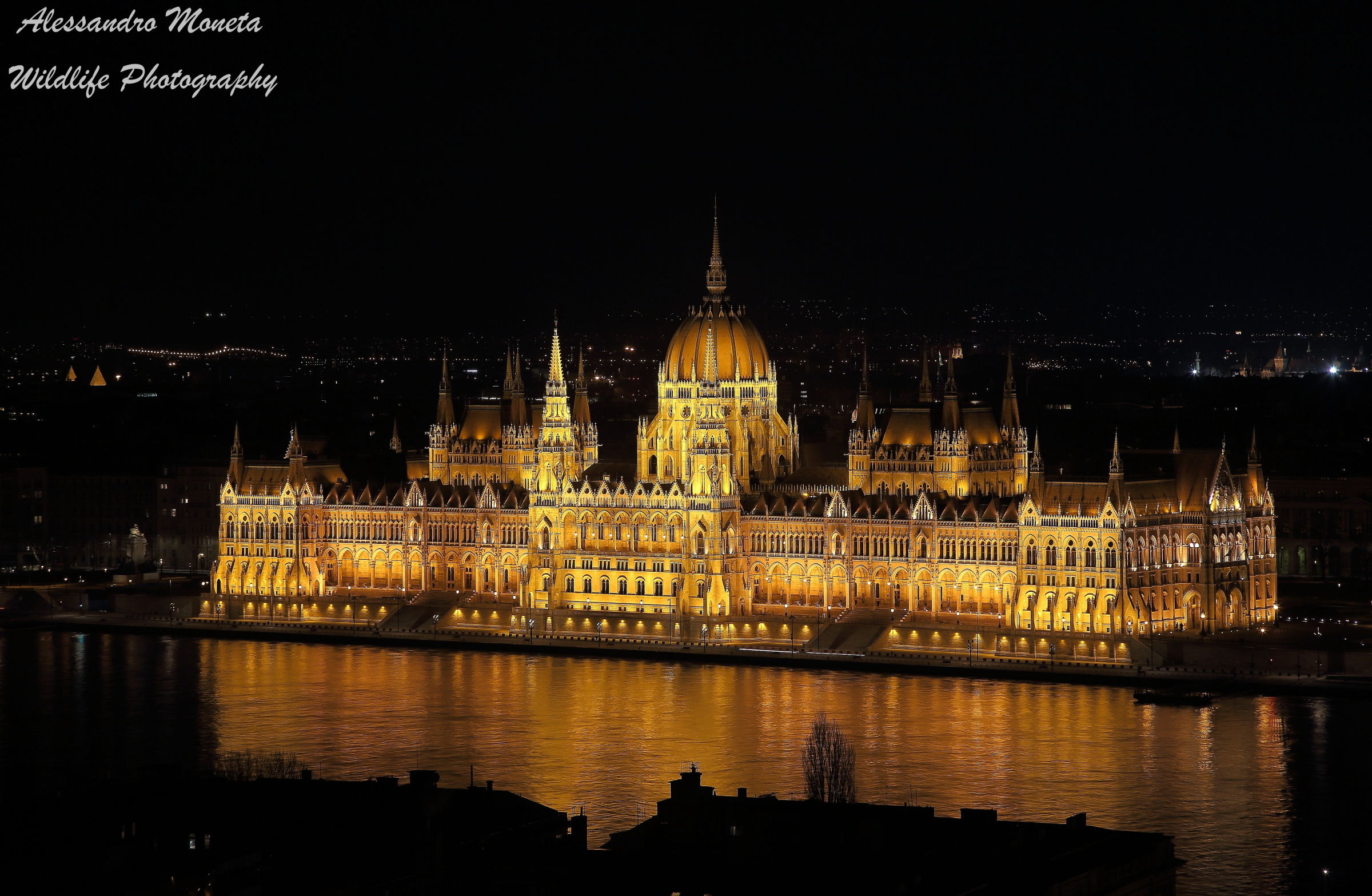 Parliament by night...