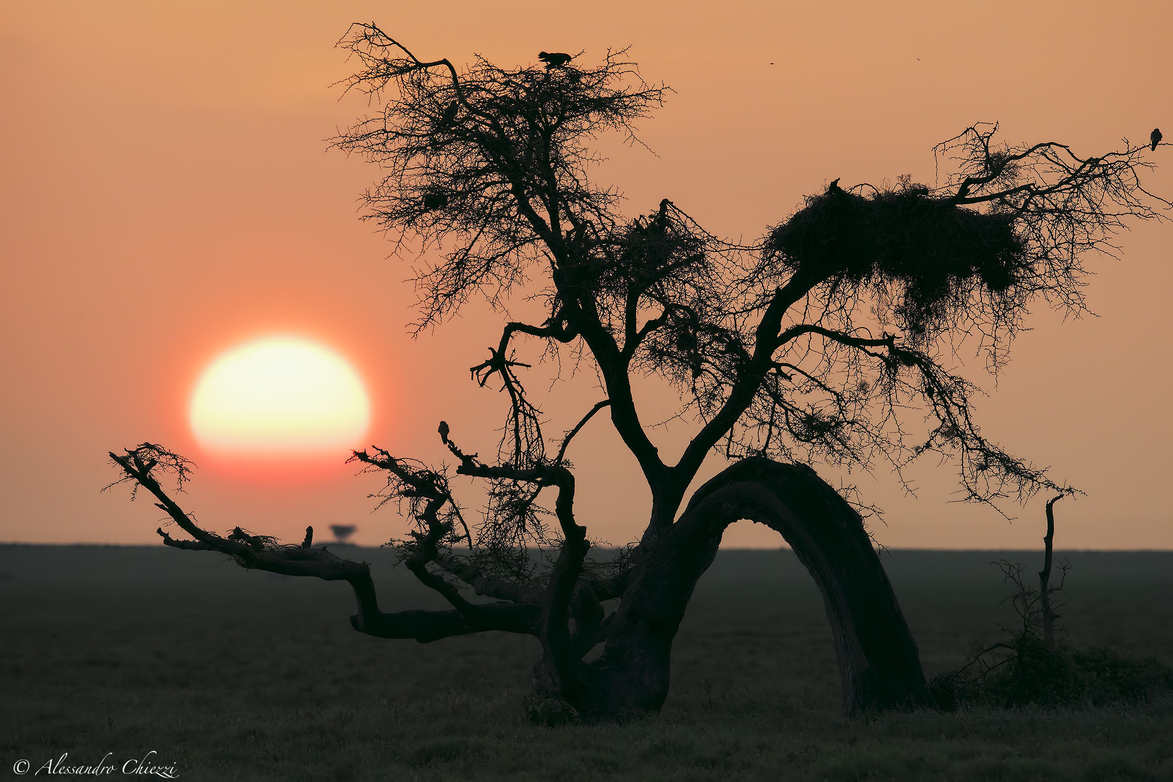Sunset on the Serengeti...